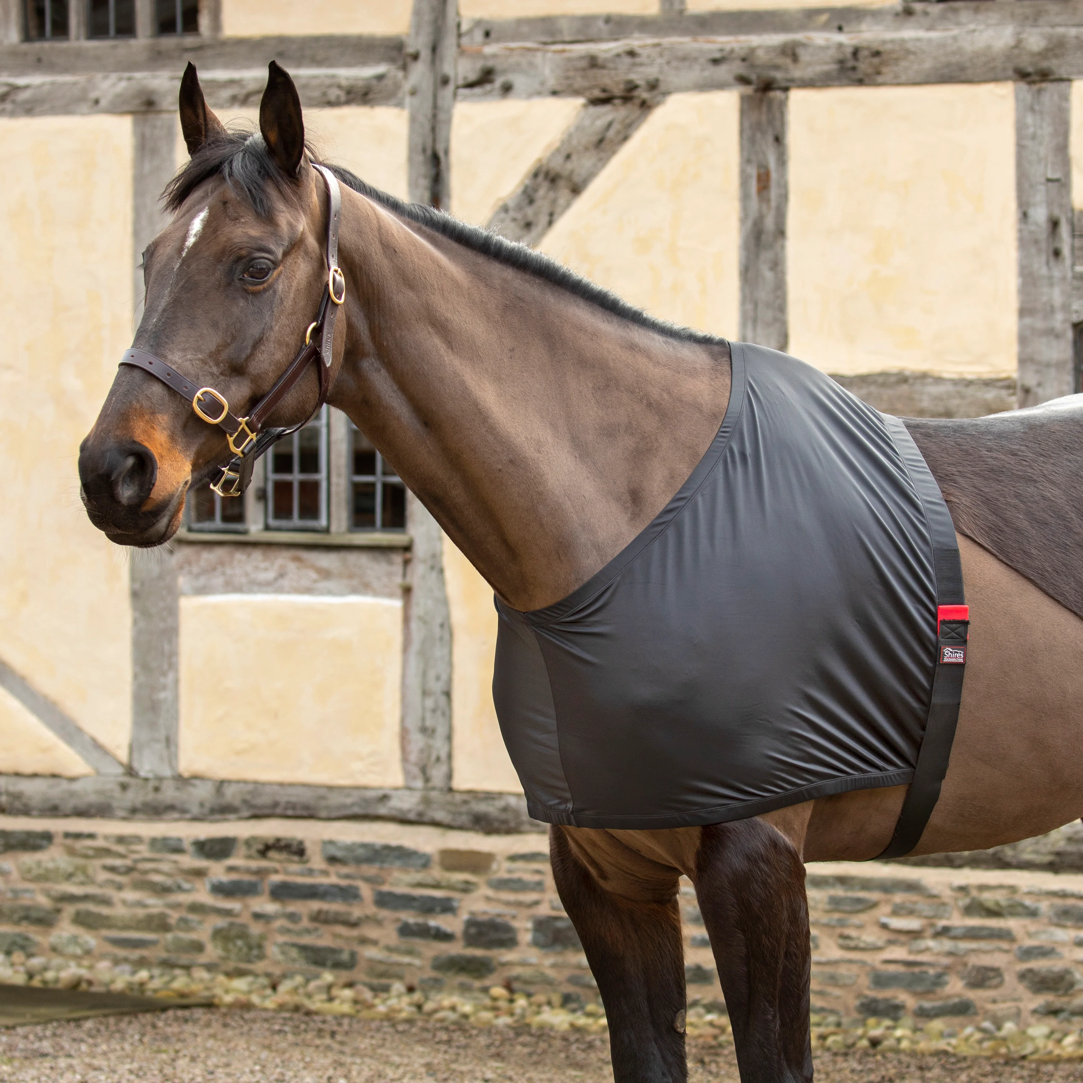 Shires Anti-Rub Stretch Vest - Image 2