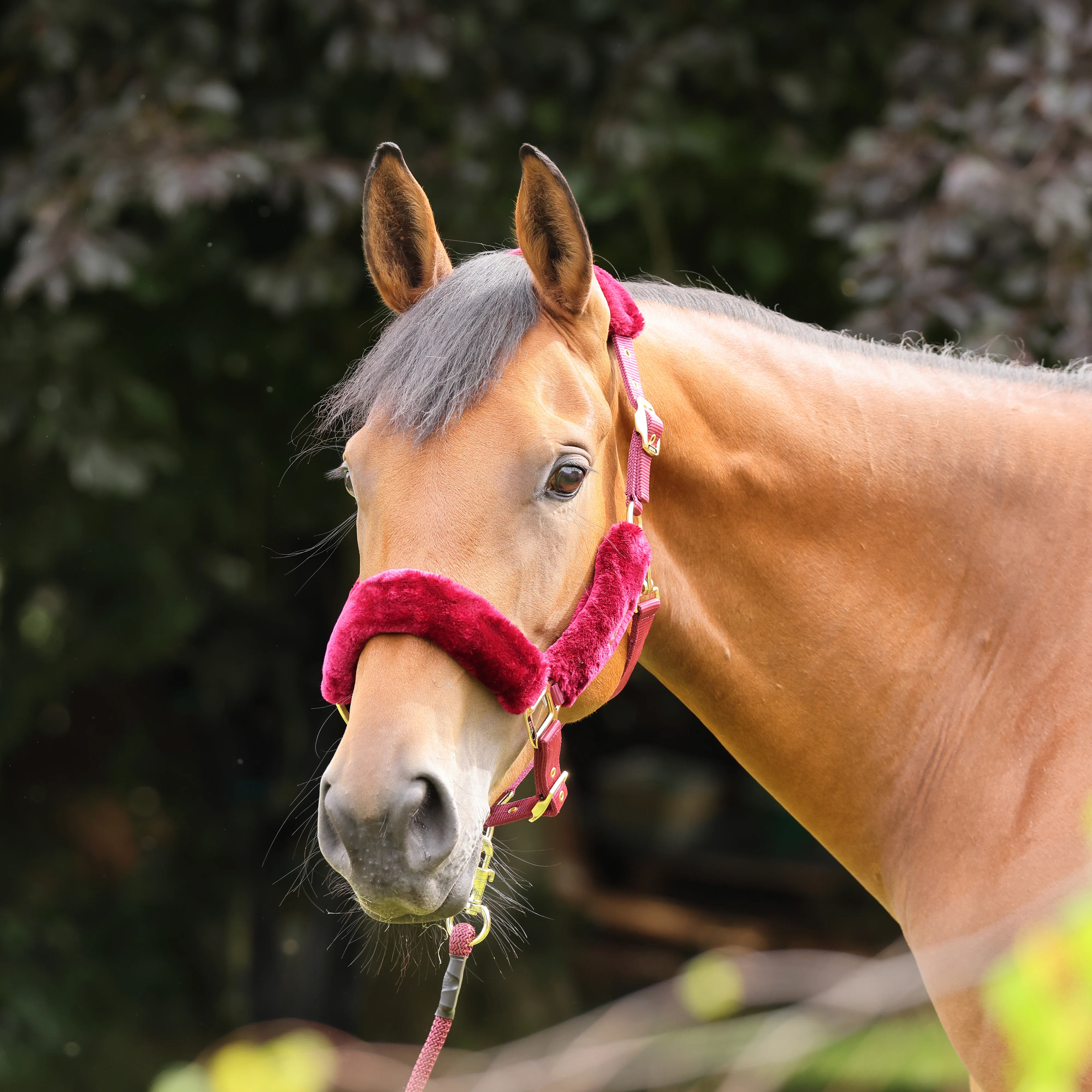 ARMA Faux Fur Headcollar & Lead Rope - Image 2