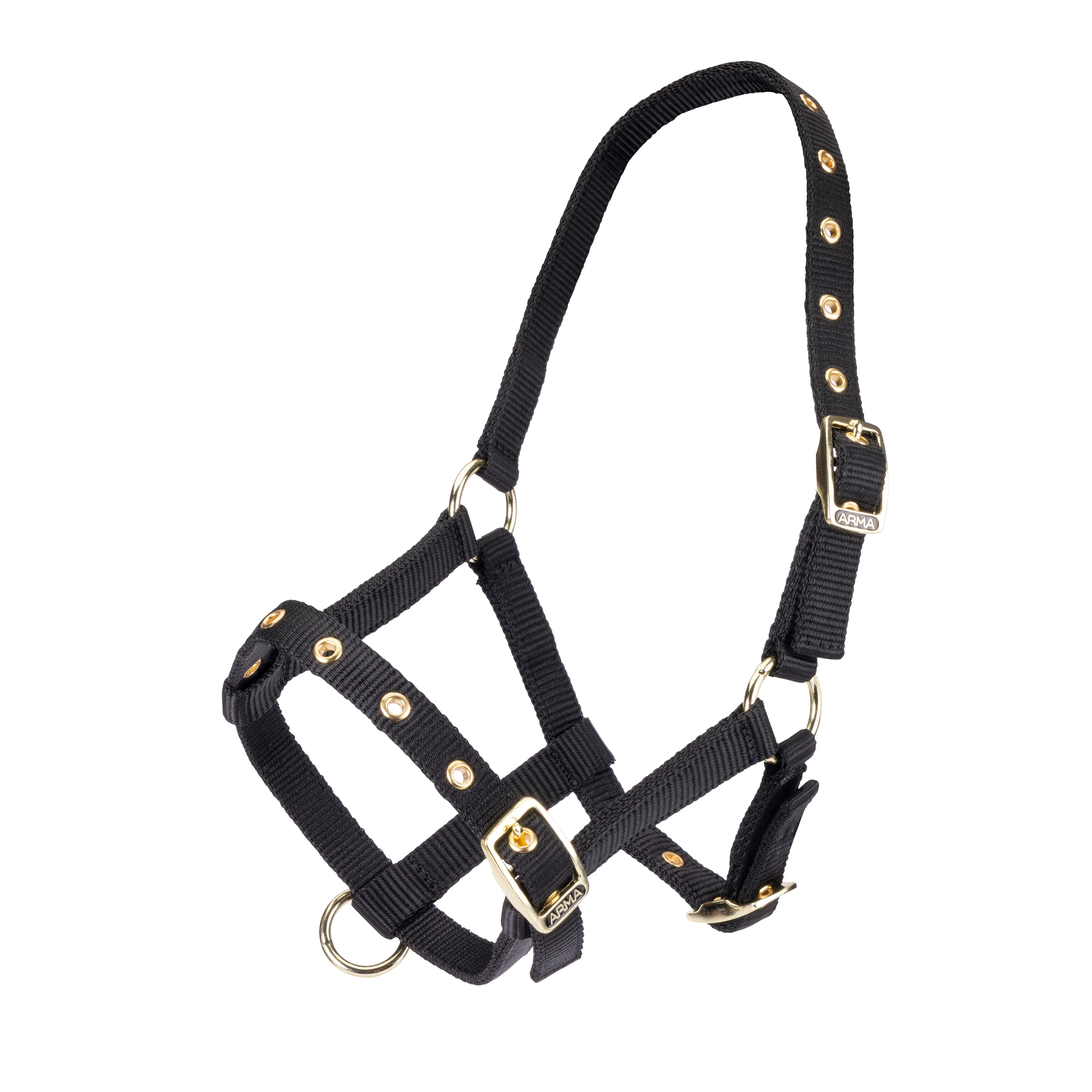ARMA Foal Headcollar