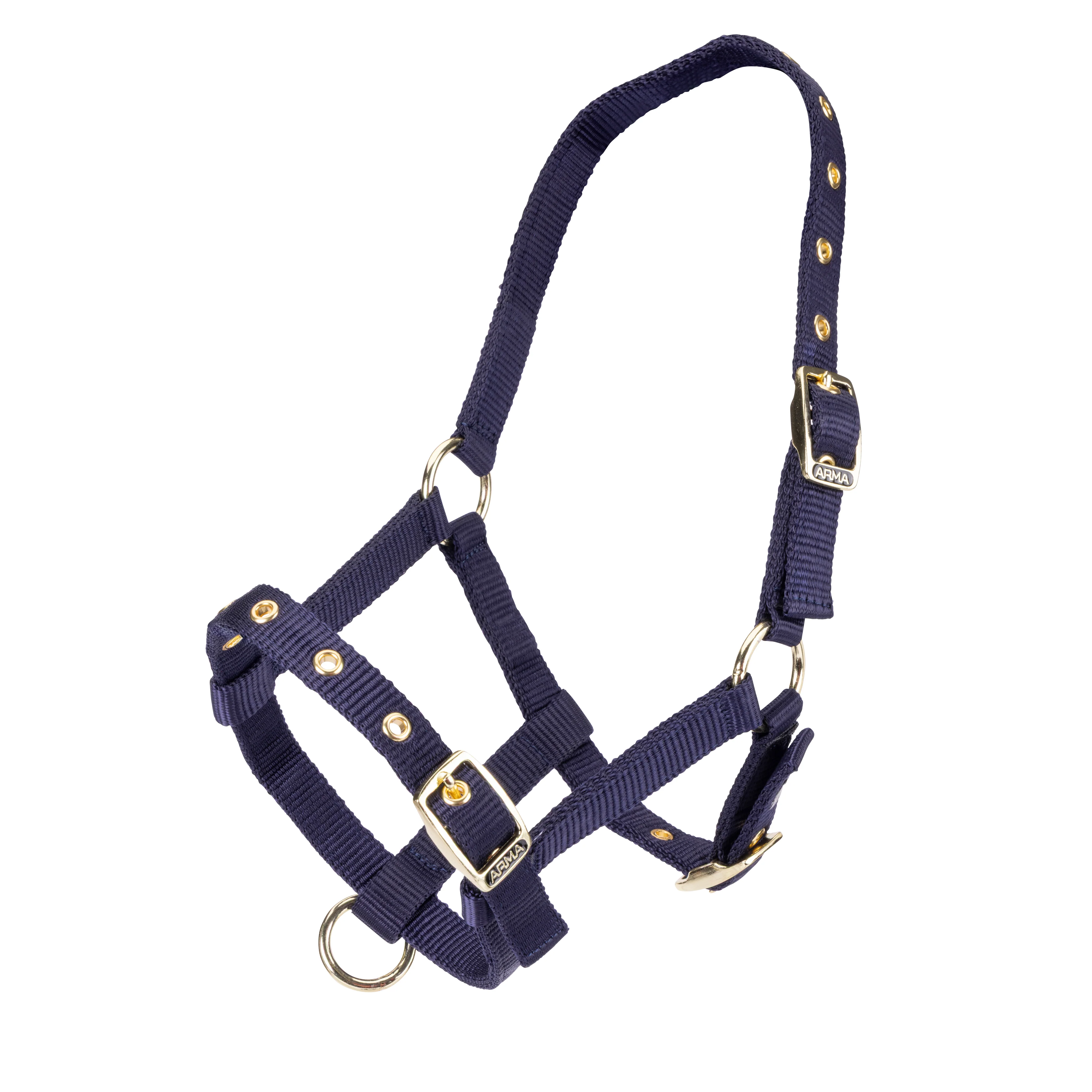 ARMA Foal Headcollar - Image 2