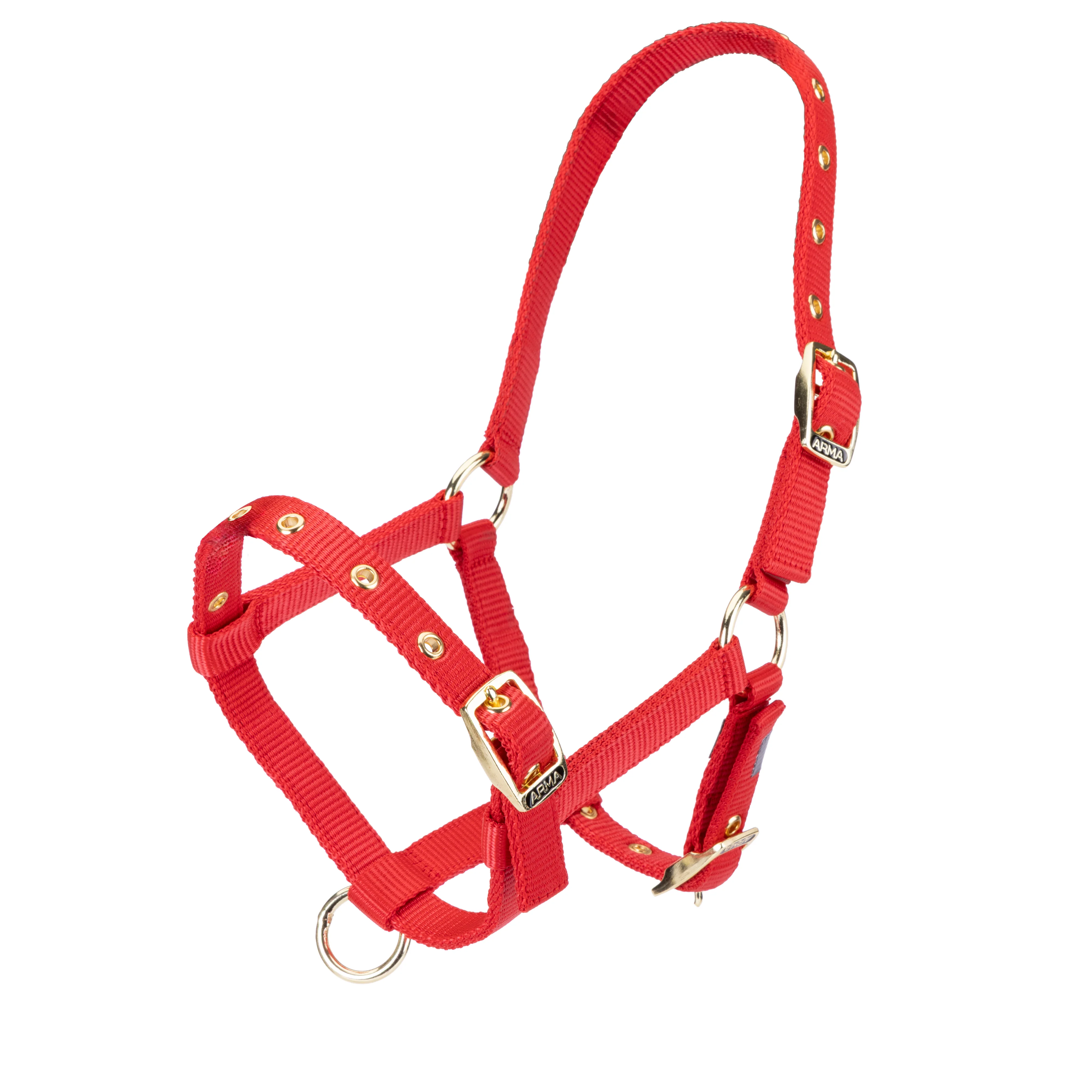 ARMA Foal Headcollar - Image 3