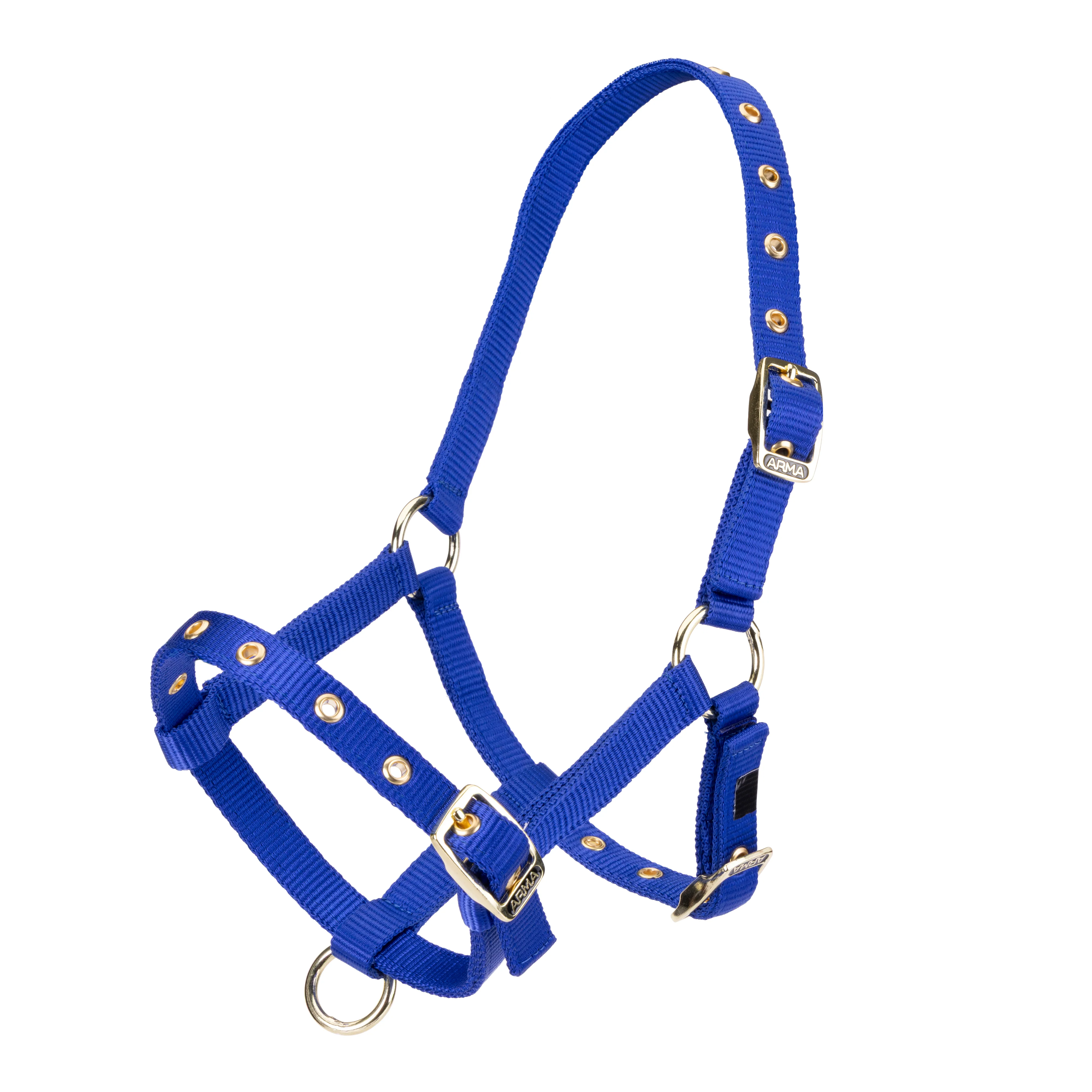 ARMA Foal Headcollar - Image 4