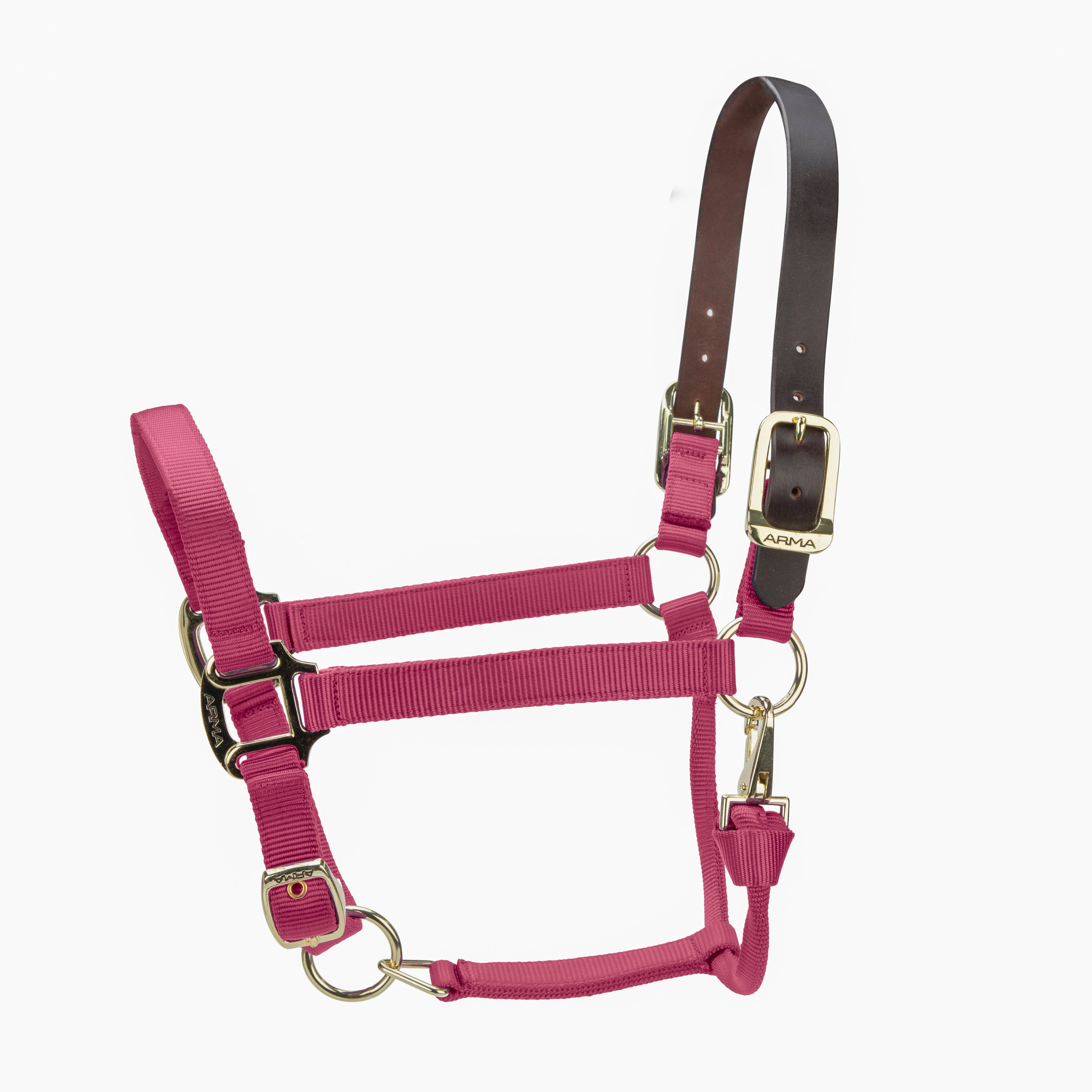 ARMA Premium Adjustable FieldSafe Headcollar - Image 2
