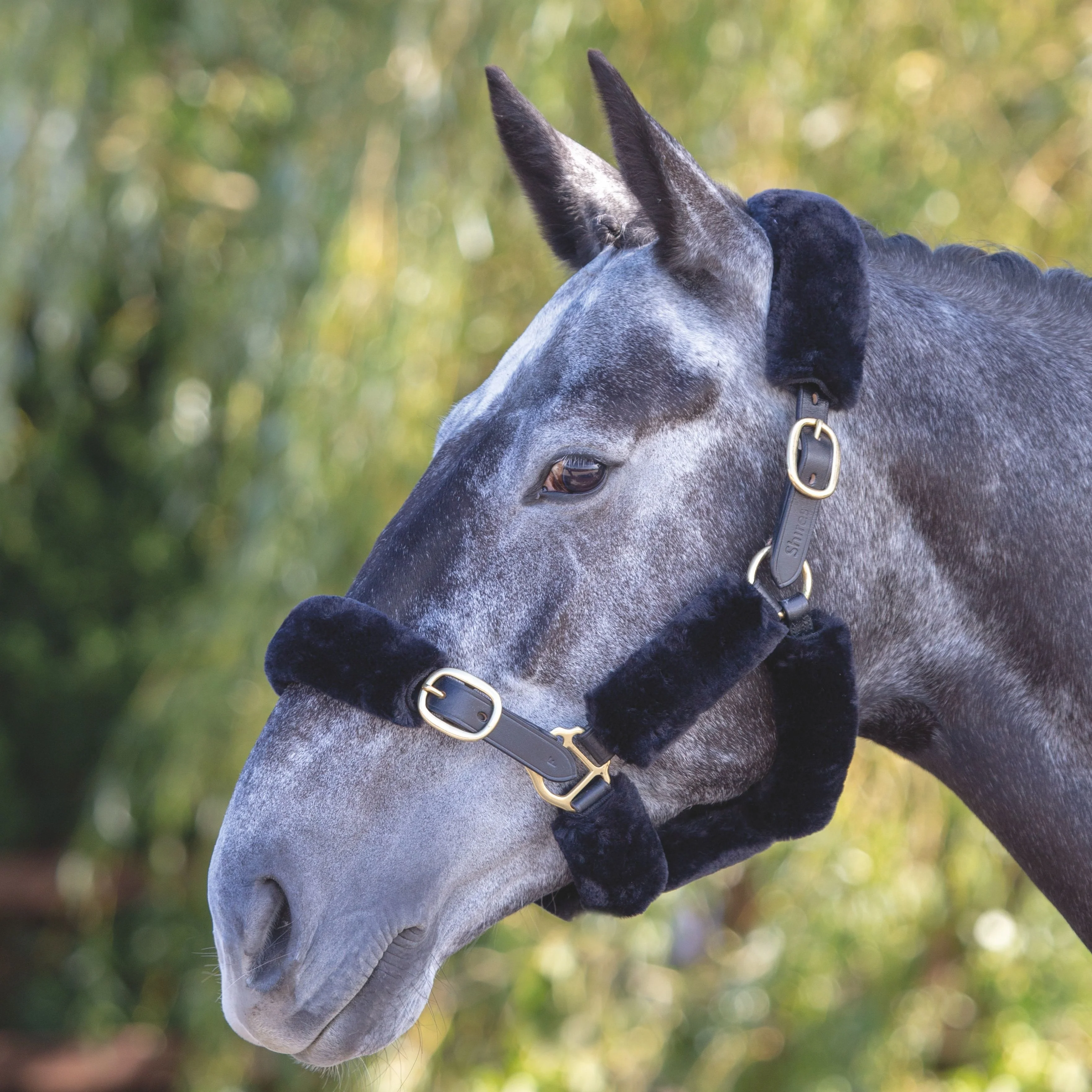 ARMA SupaFleece Halter Fleeces - Image 2