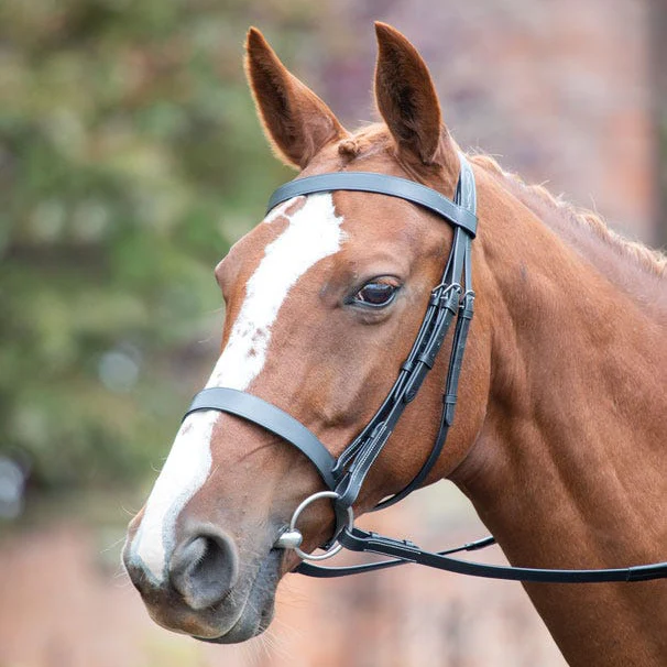 Avignon Hunter Cavesson Bridle - Image 2