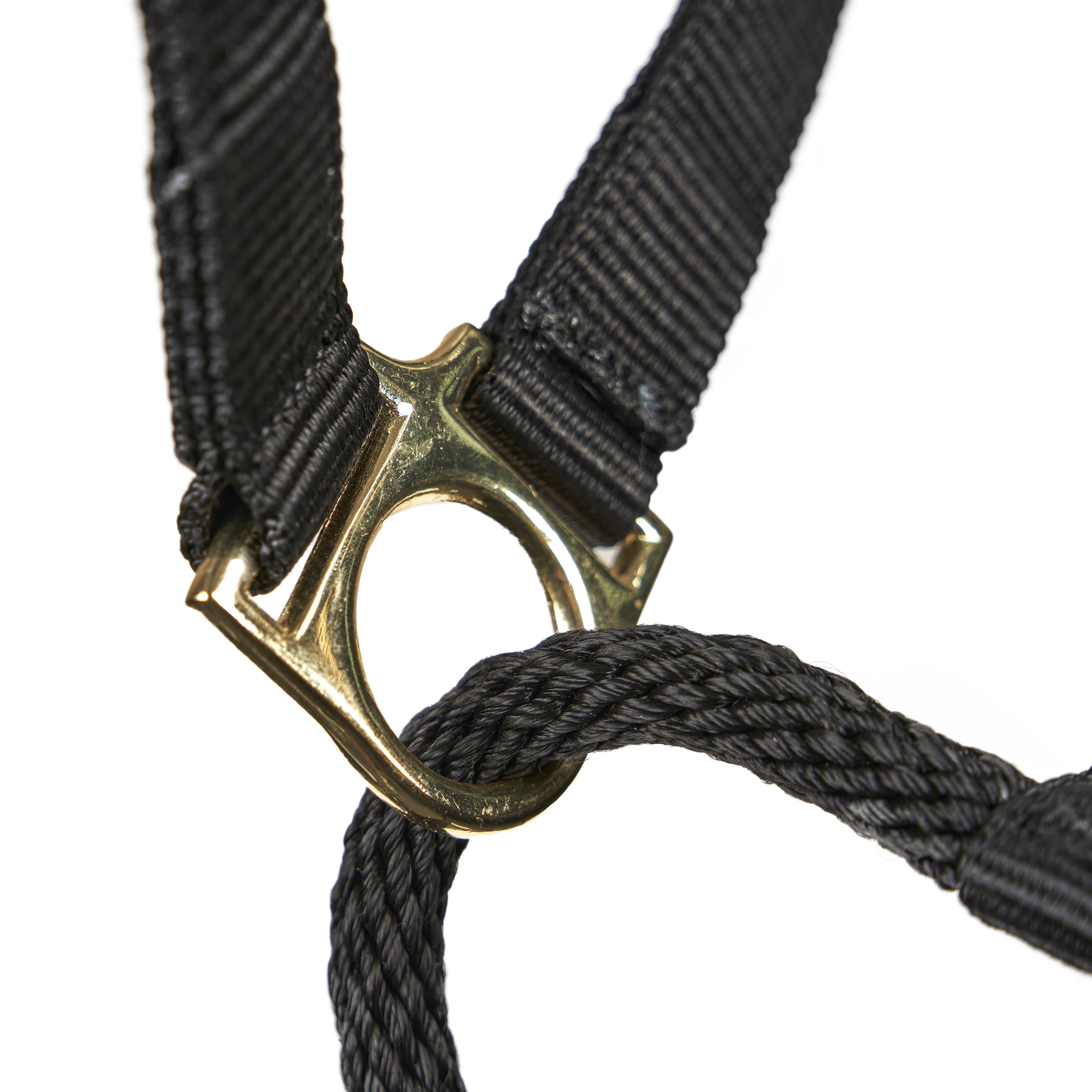 ARMA Control Headcollar - Image 3
