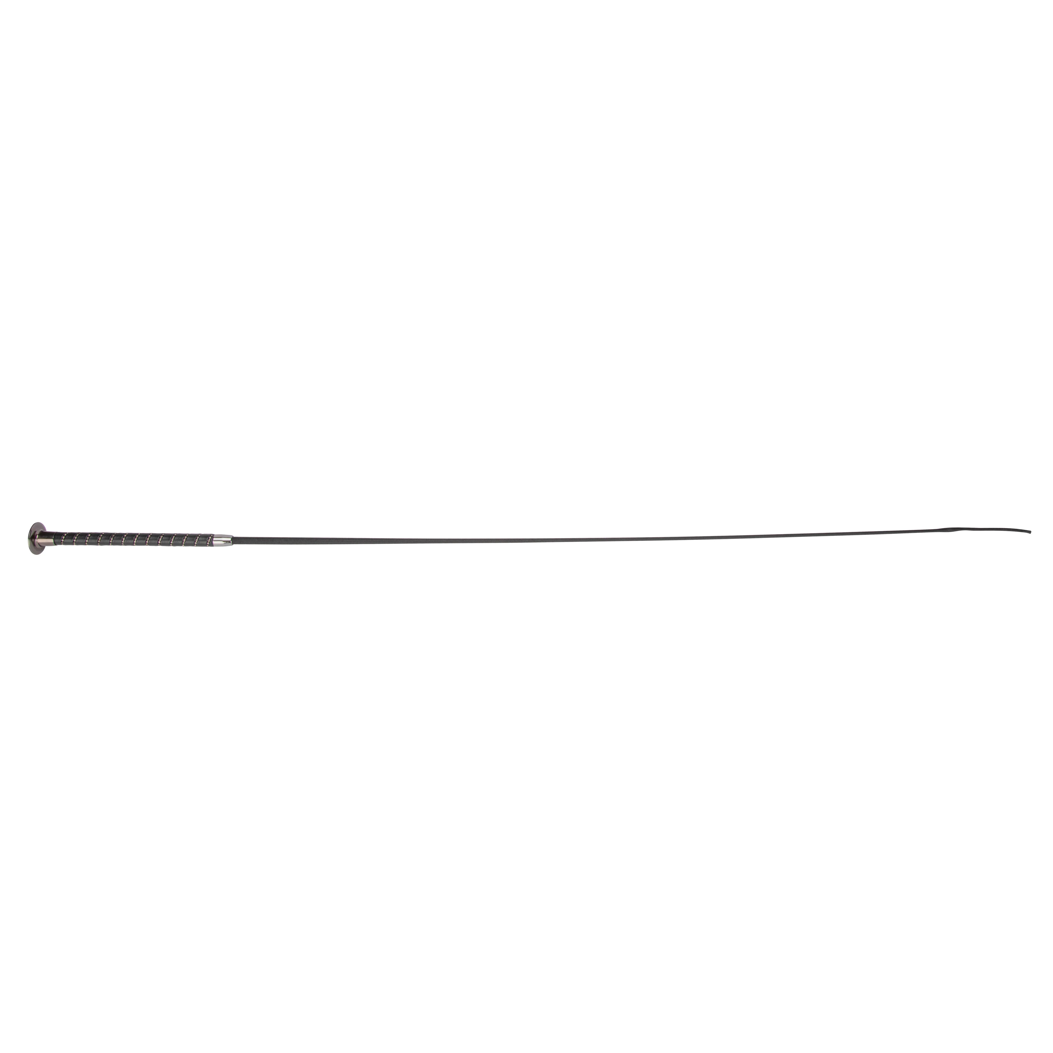 Shires Deluxe Diamante Schooling Whip