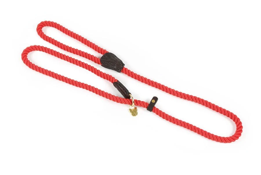Digby & Fox Rope Slip Dog Lead - Image 9