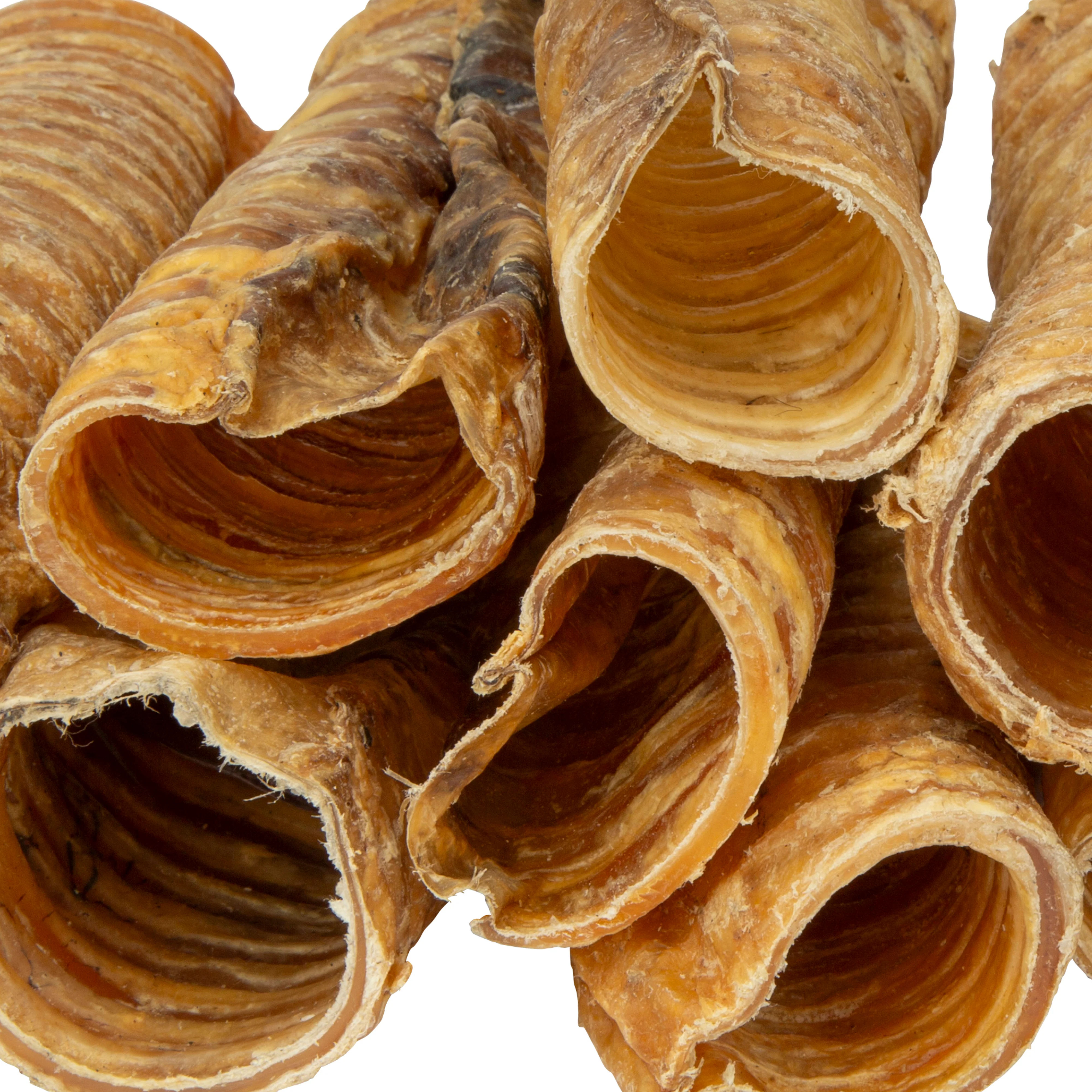Digby & Fox Trachea - Image 3