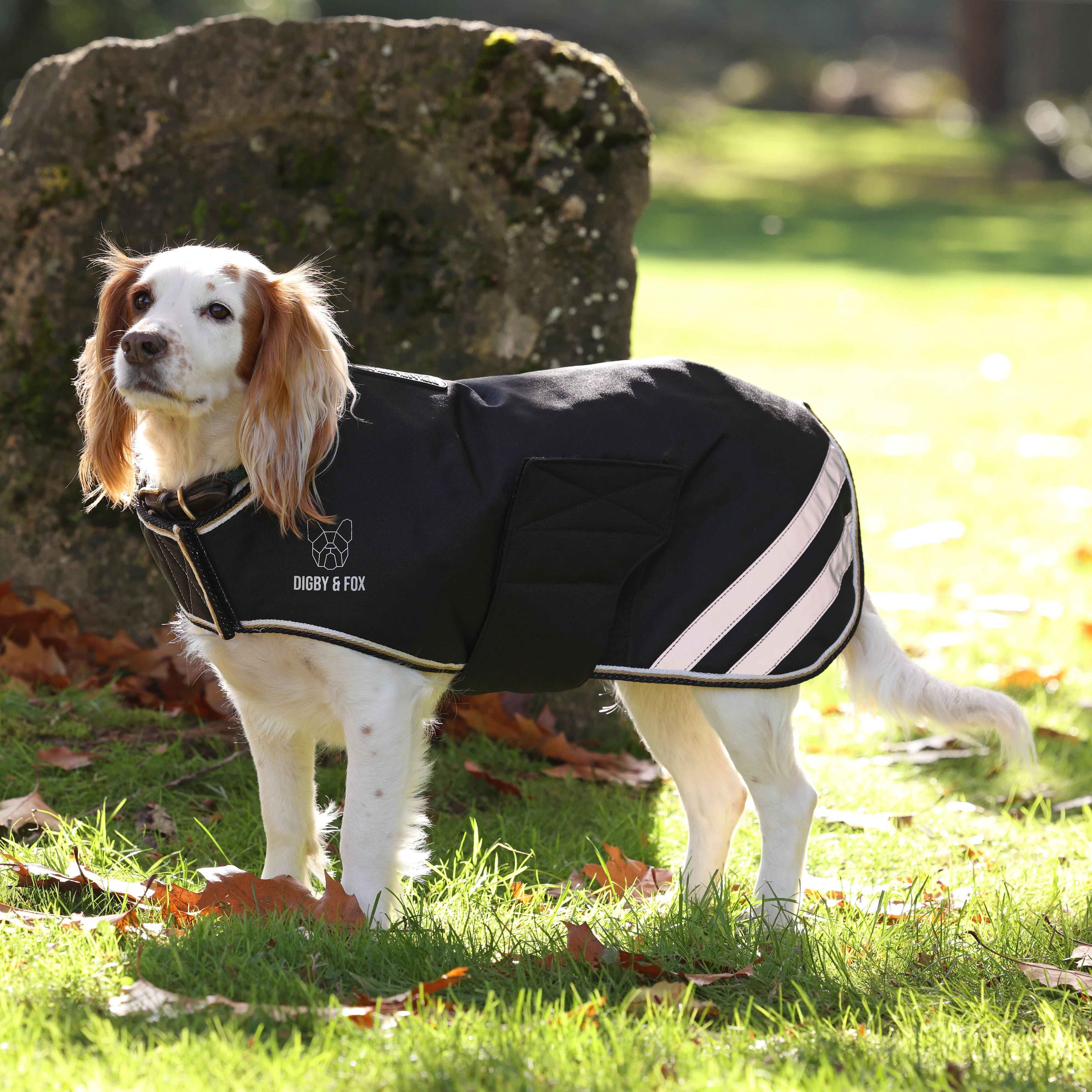 Digby & Fox Waterproof Dog Coat - Image 4