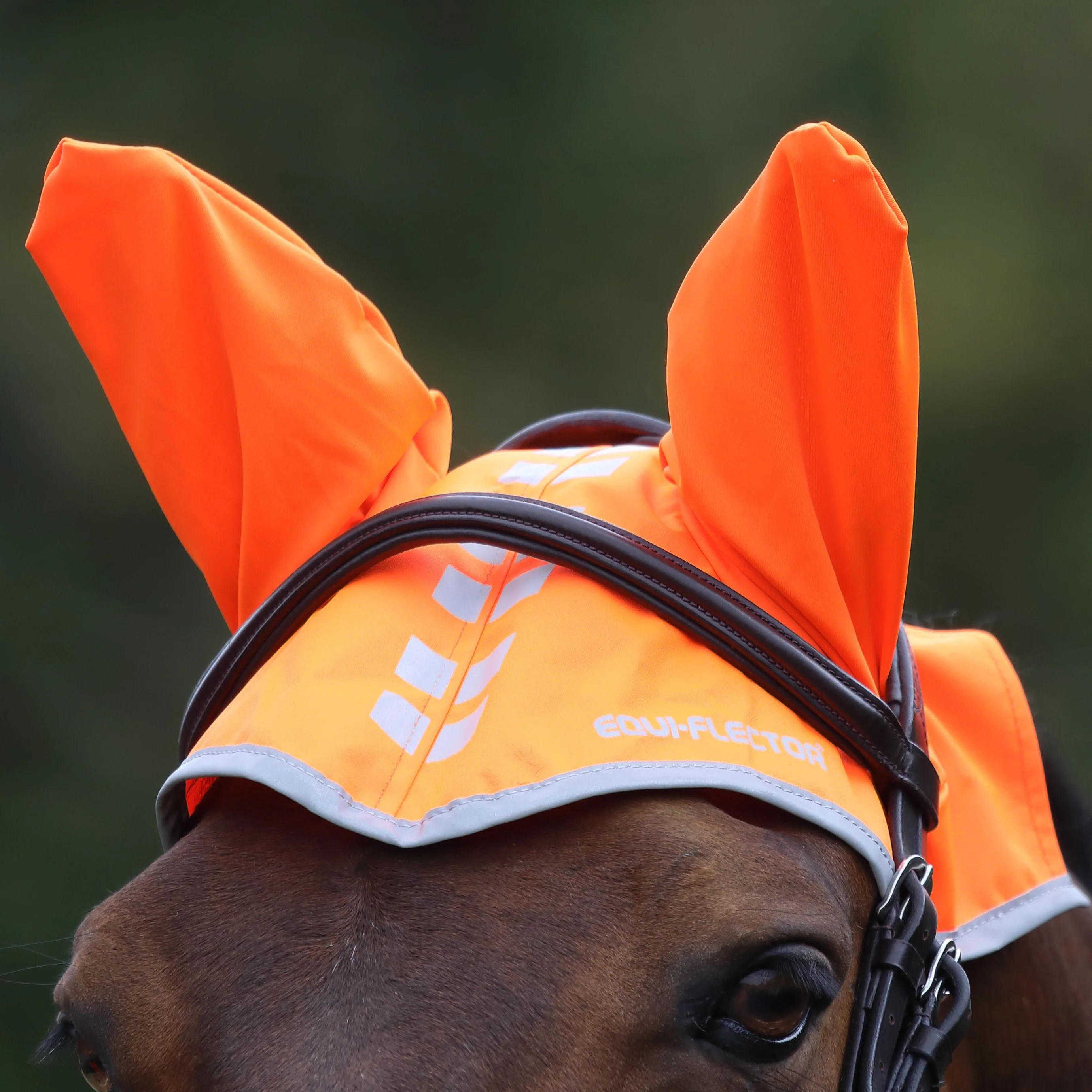 EQUI-FLECTOR® Fly Veil