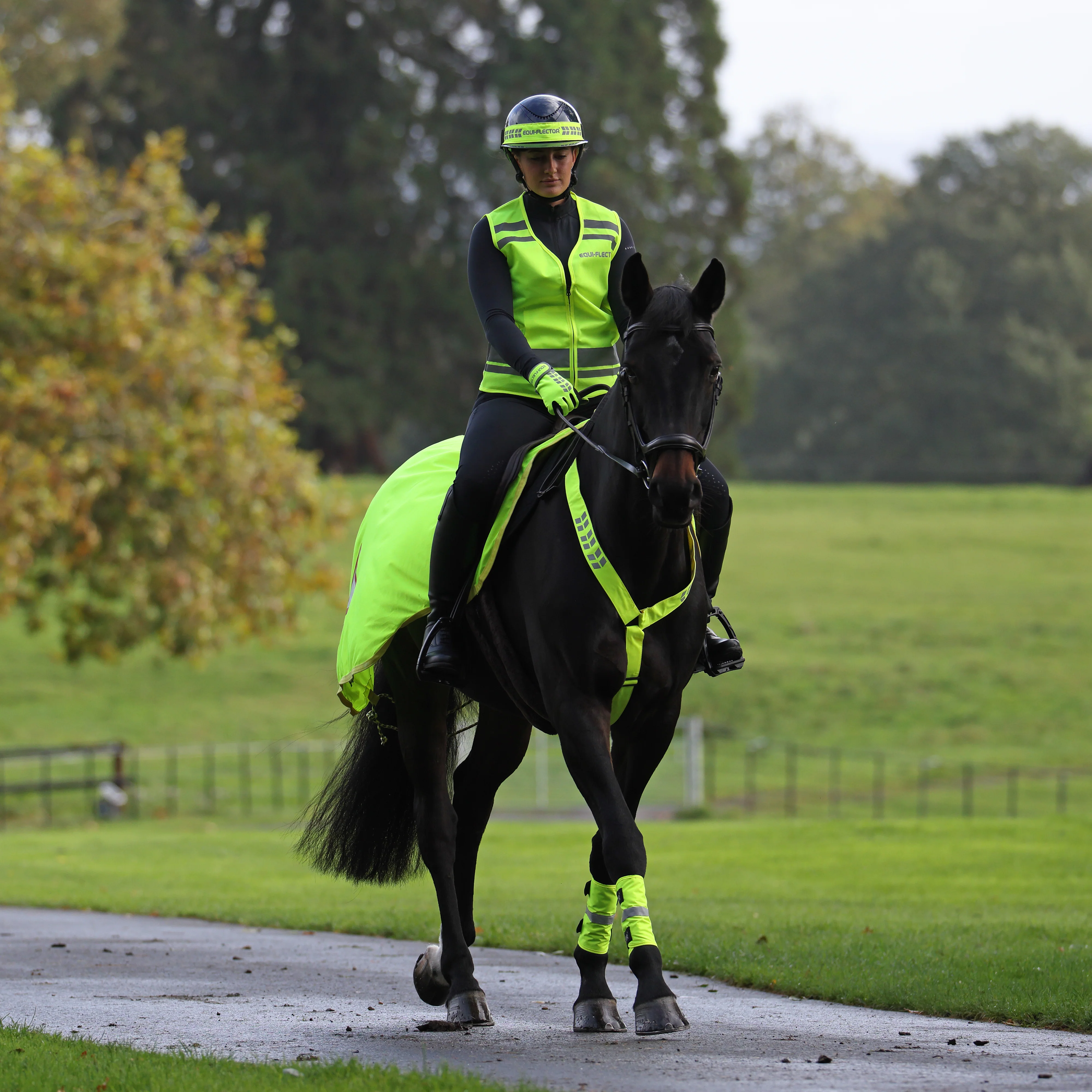 EQUI-FLECTOR® Mesh Exercise Sheet - Image 2