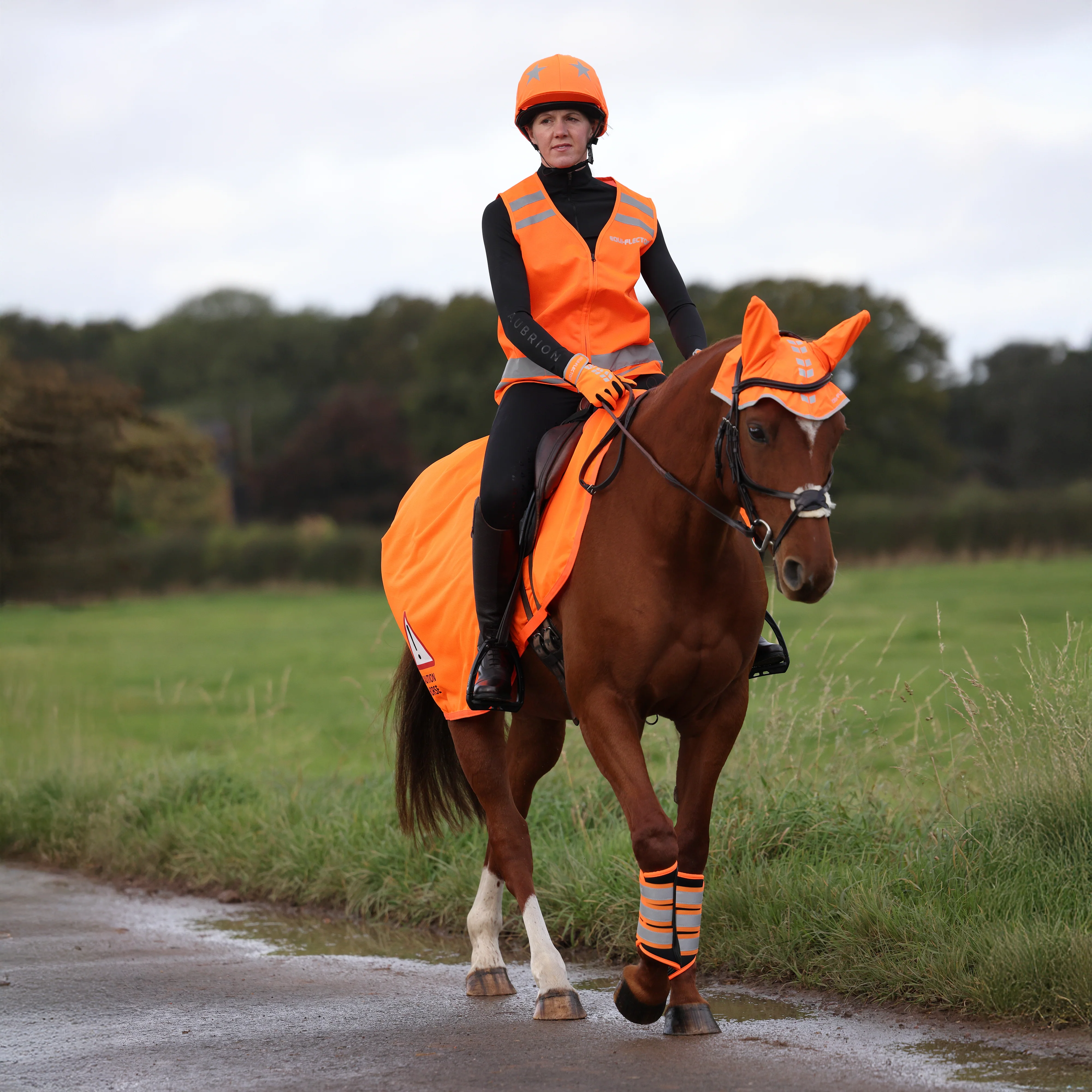 EQUI-FLECTOR® Mesh Exercise Sheet - Image 4