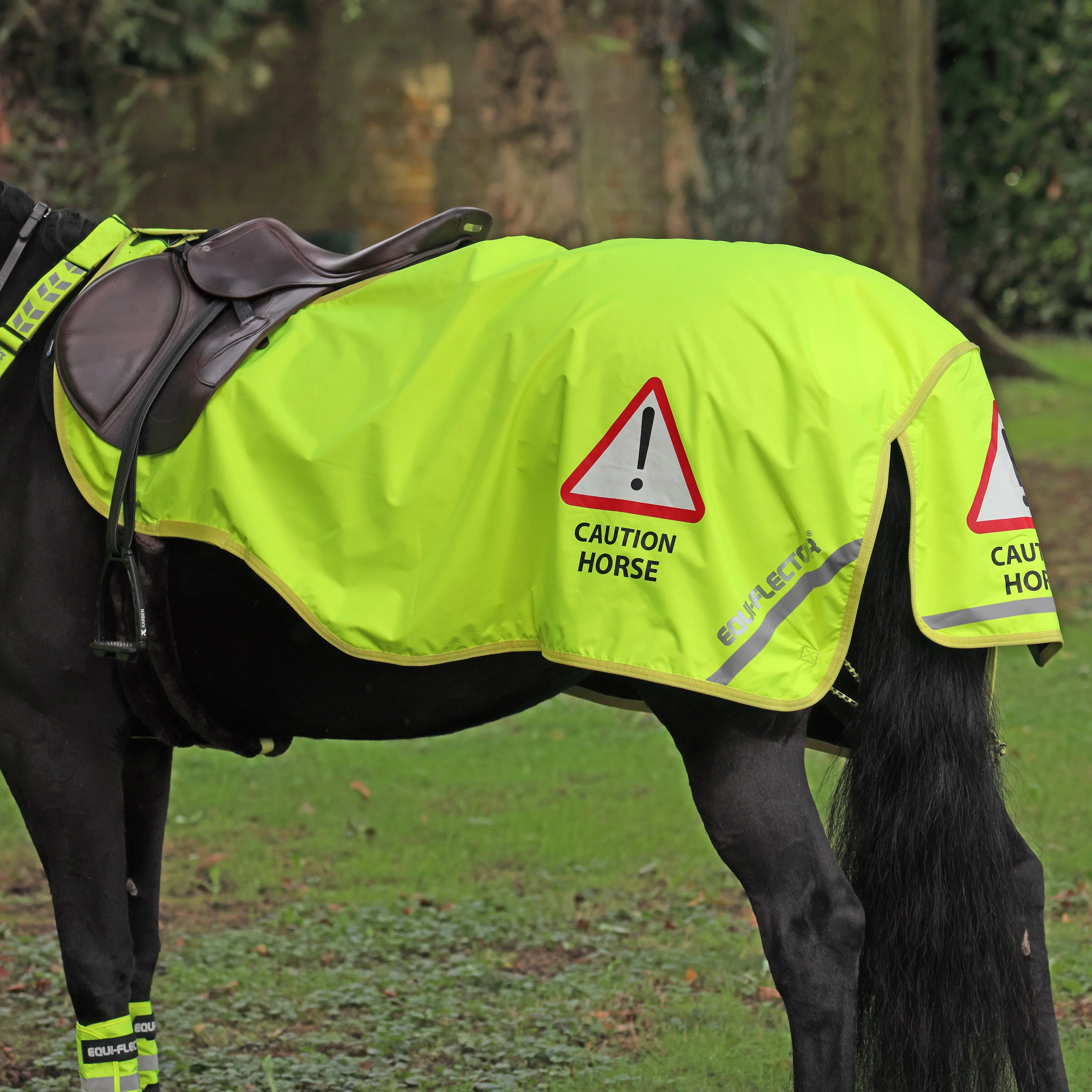 EQUI-FLECTOR® Waterproof Exercise Sheet - Image 2