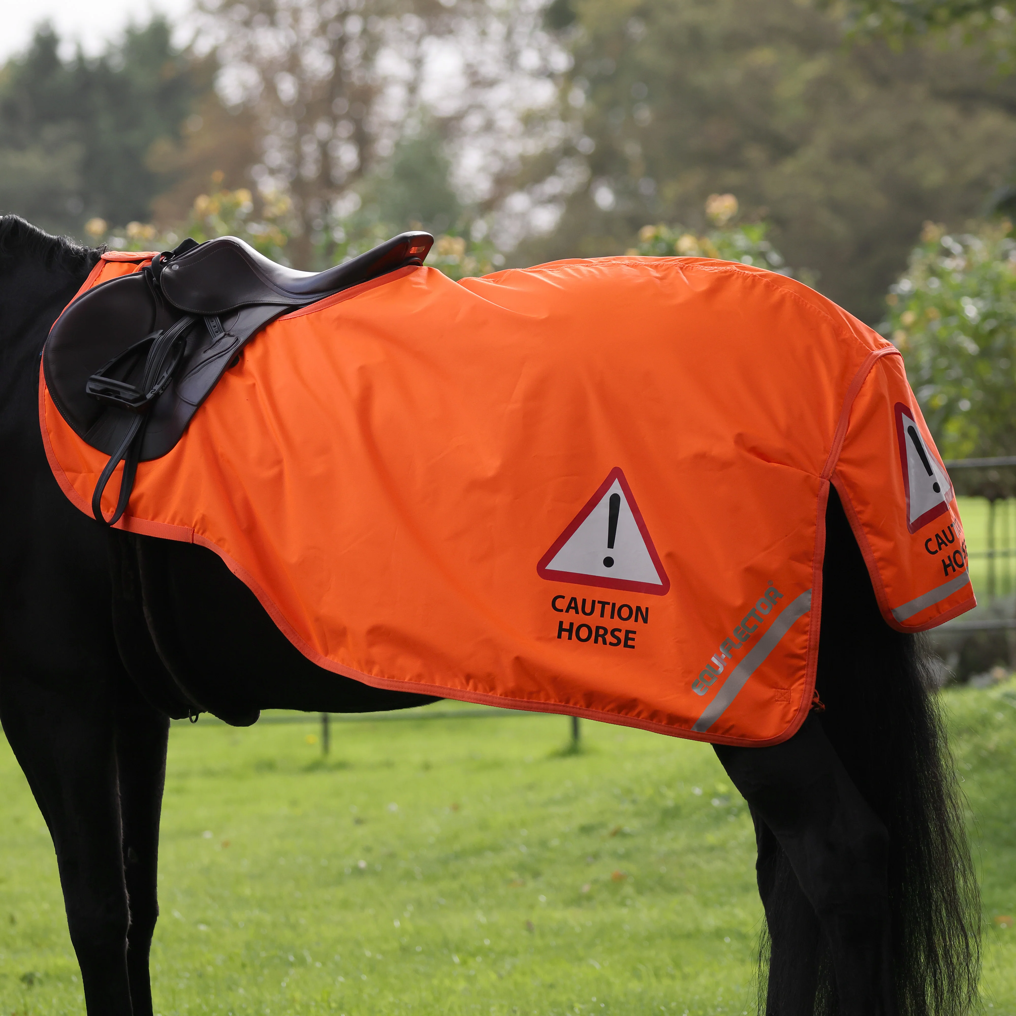 EQUI-FLECTOR® Waterproof Exercise Sheet - Image 3