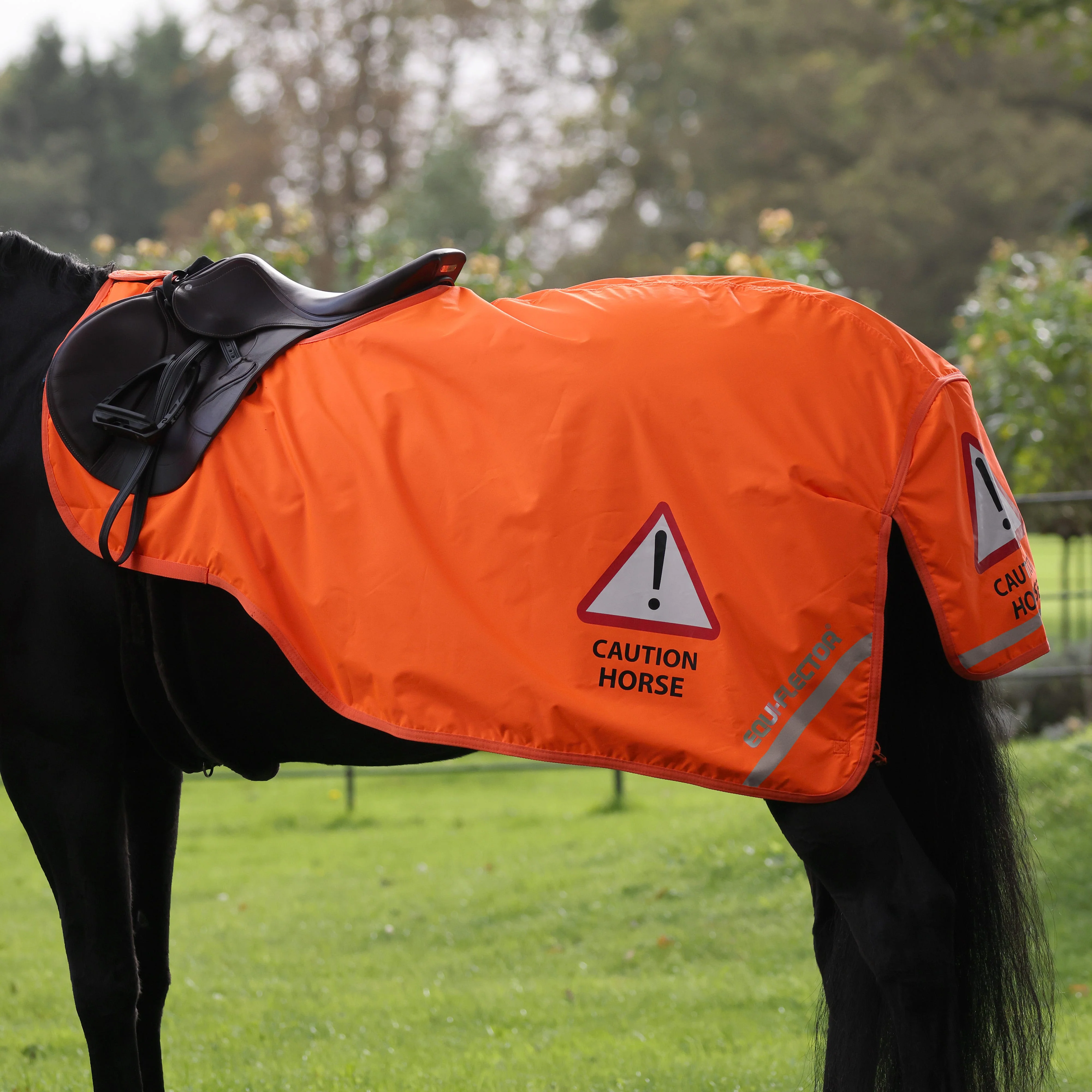 EQUI-FLECTOR® Waterproof Exercise Sheet - Image 4