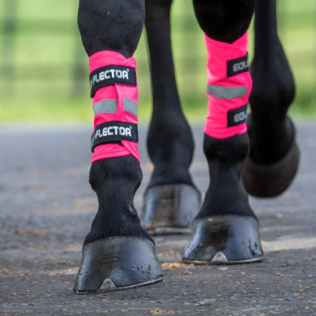 EQUI-FLECTOR® Wraps - Image 4