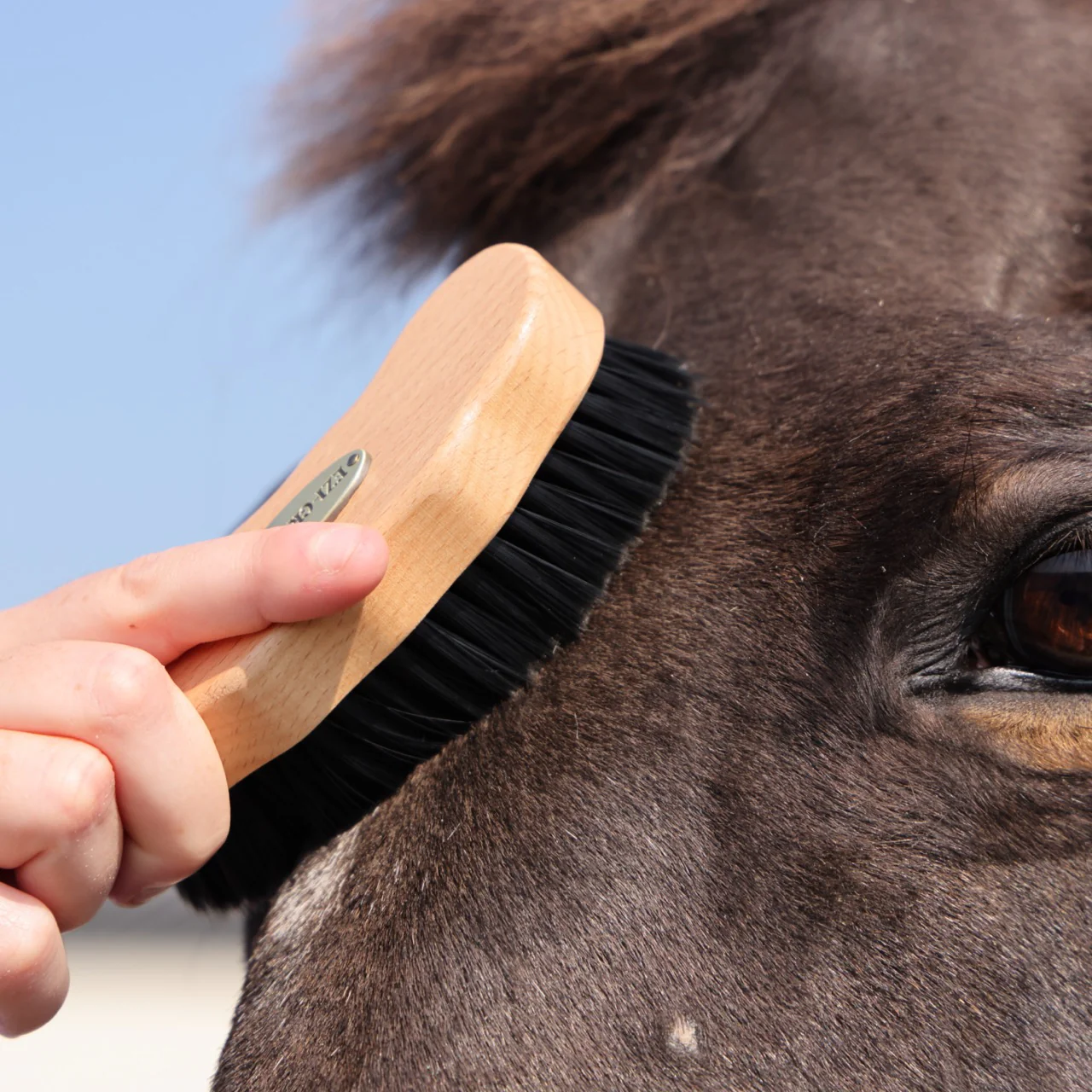 EZI-GROOM Premium Face Brush - Image 3