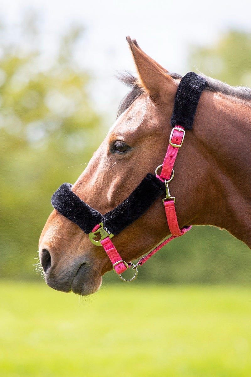 Fleece Lined Headcollar - Image 3