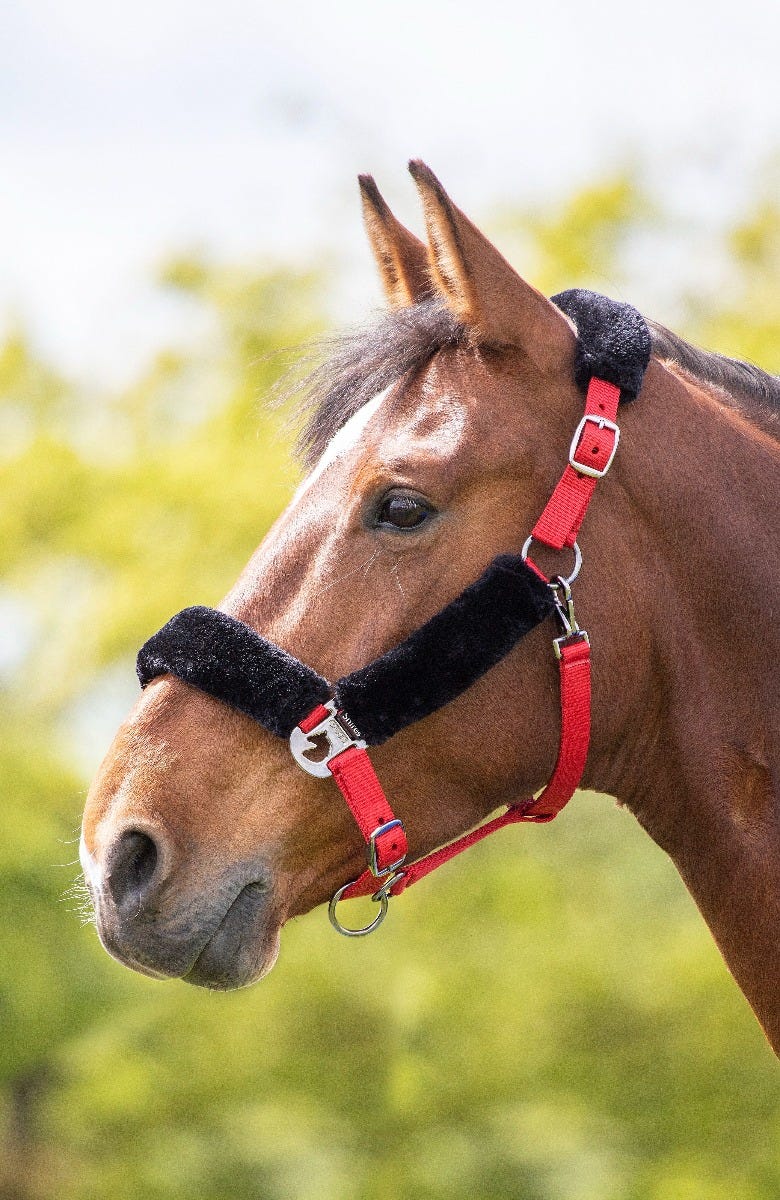 Fleece Lined Headcollar - Image 4
