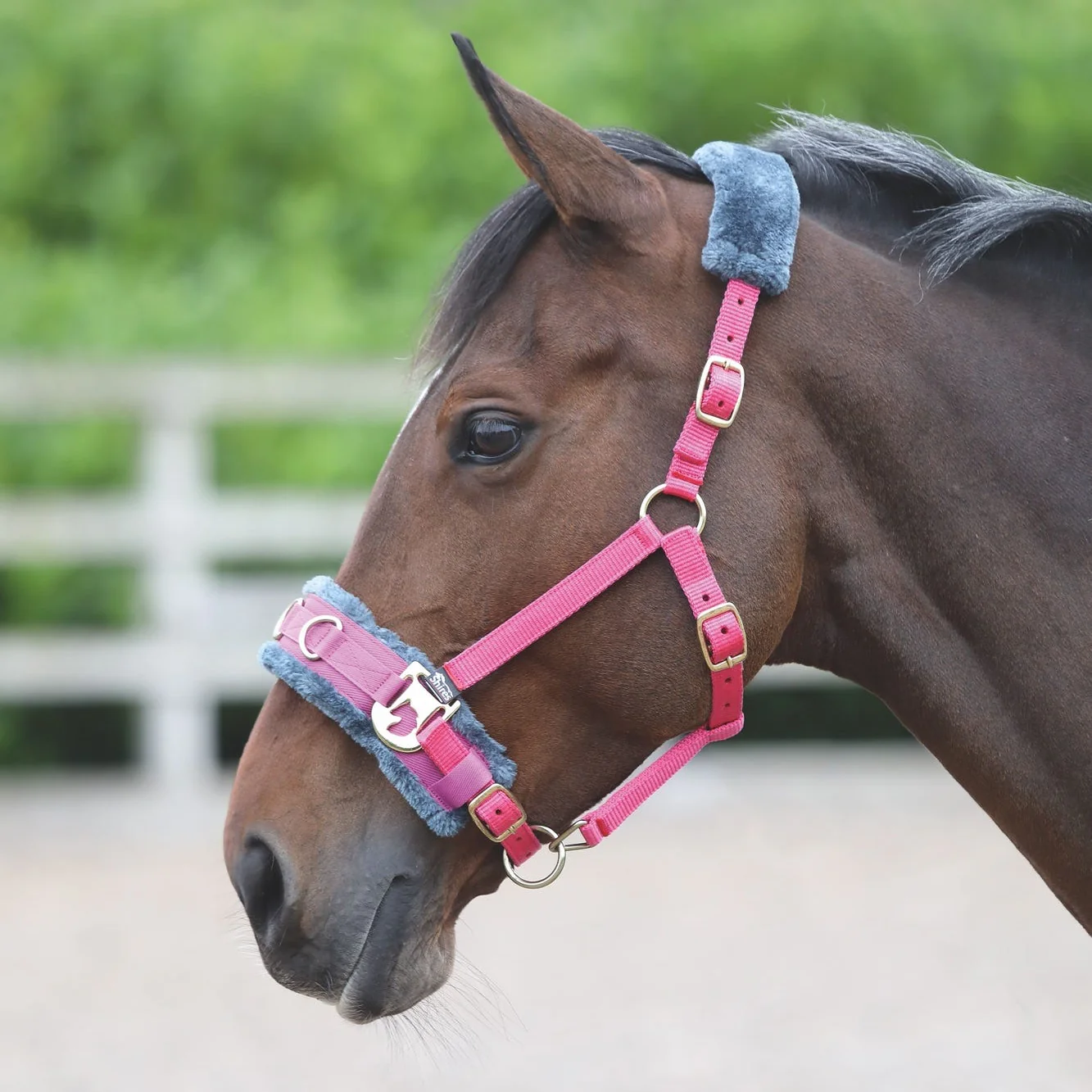 Fleece Lined Lunge Cavesson - Image 9