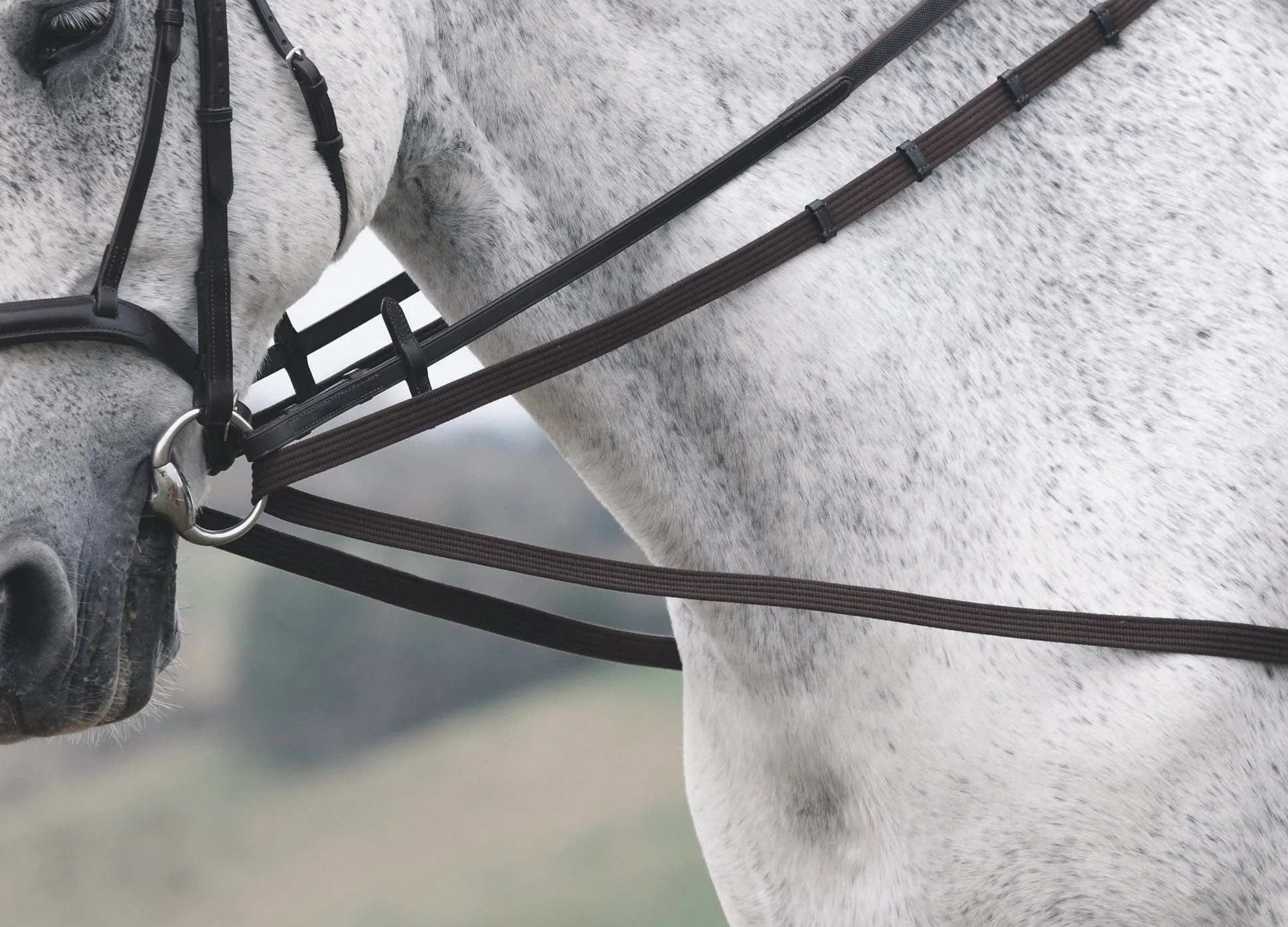 Velociti GARA Cotton Web Draw/Running Reins - Image 2
