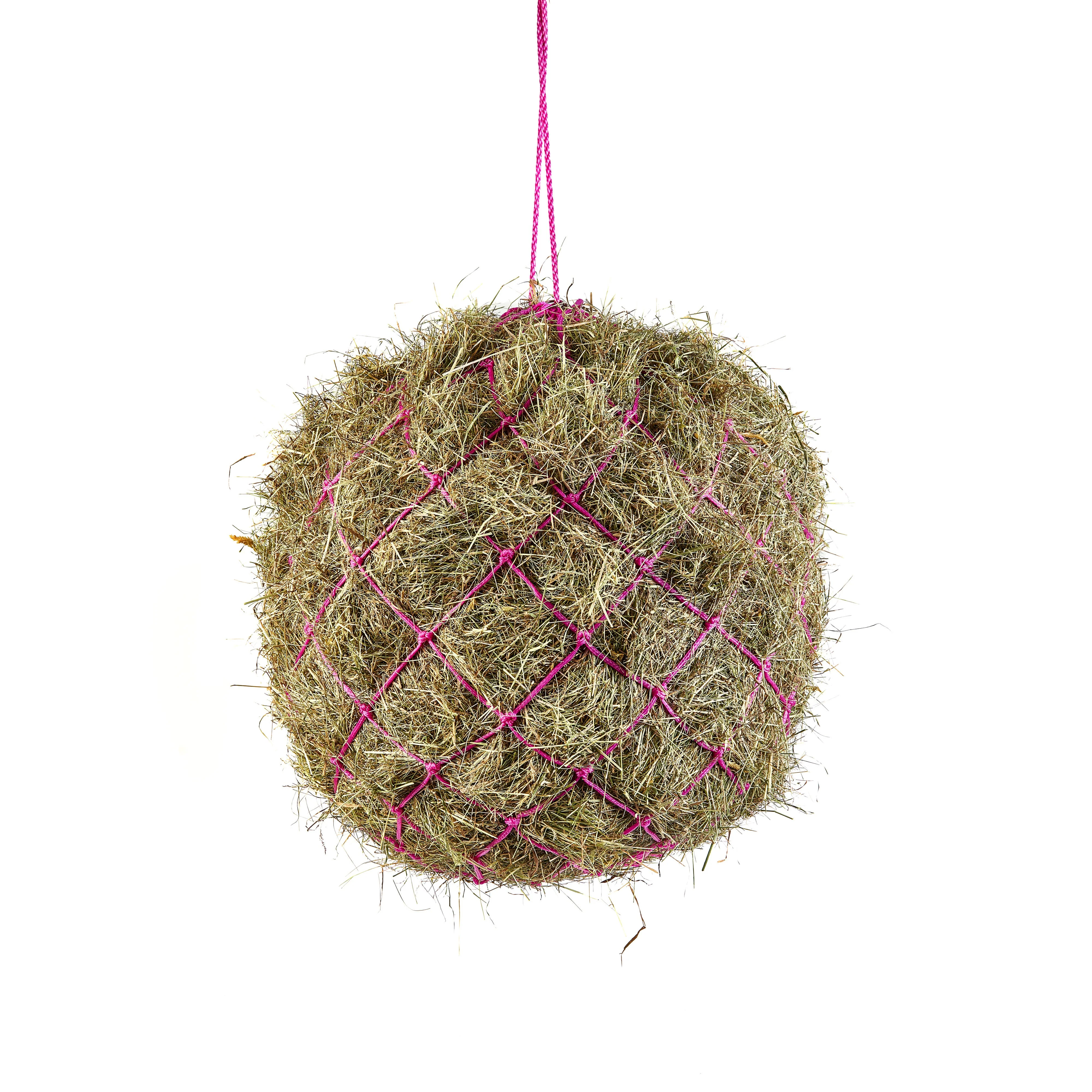 Shires Haynet - Image 7