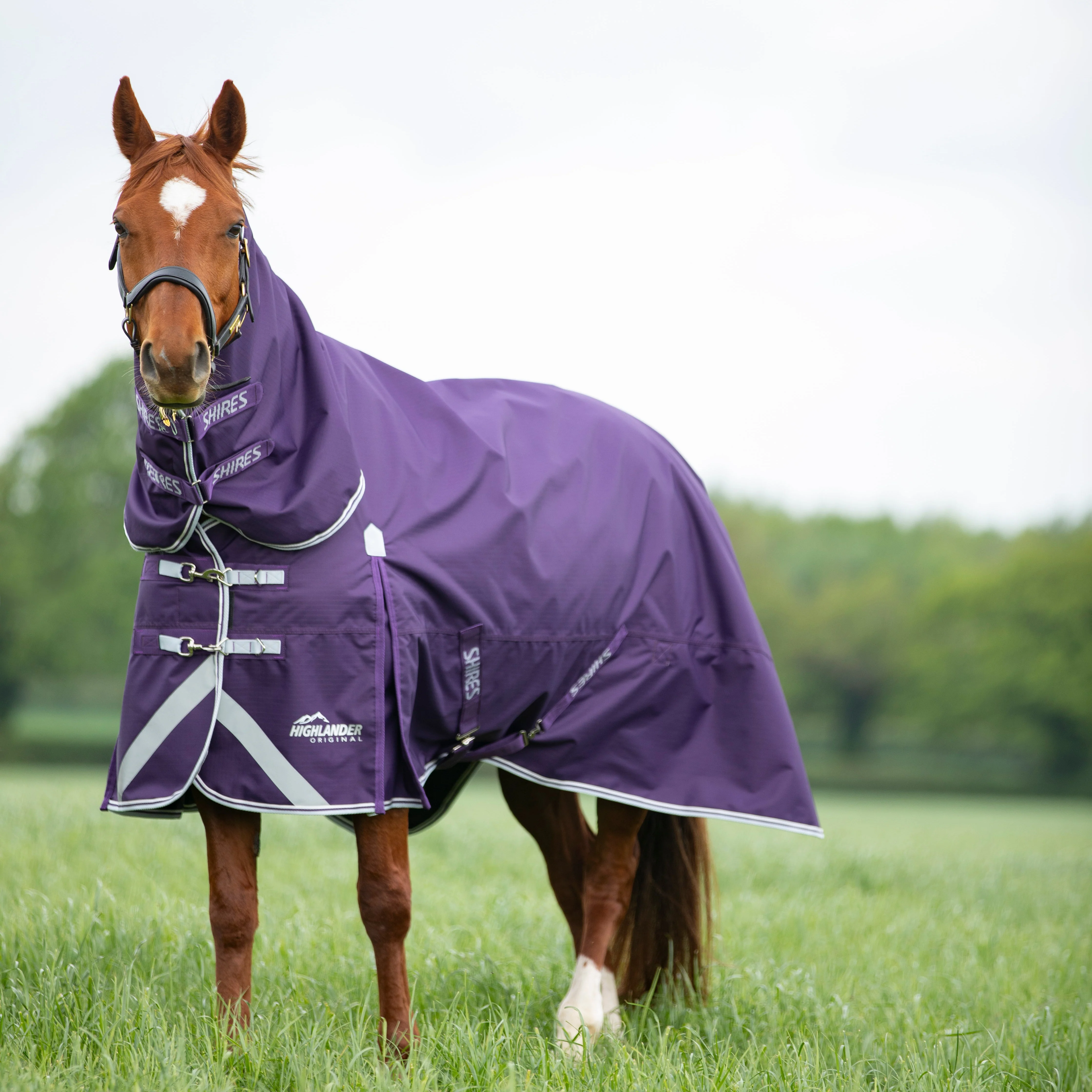 Highlander Original 100 Turnout Combo Rug - Image 5
