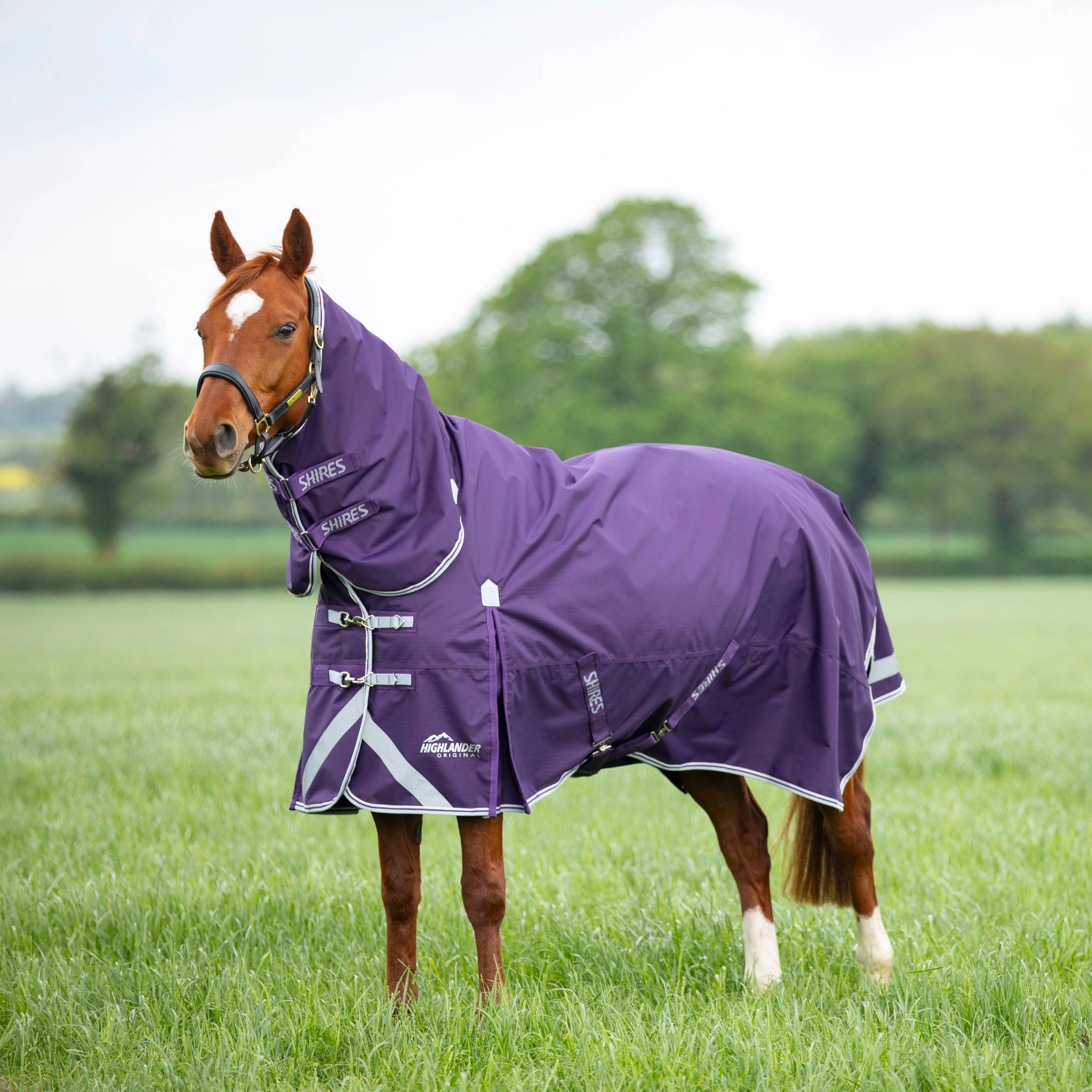 Highlander Original 100 Turnout Combo Rug - Image 6