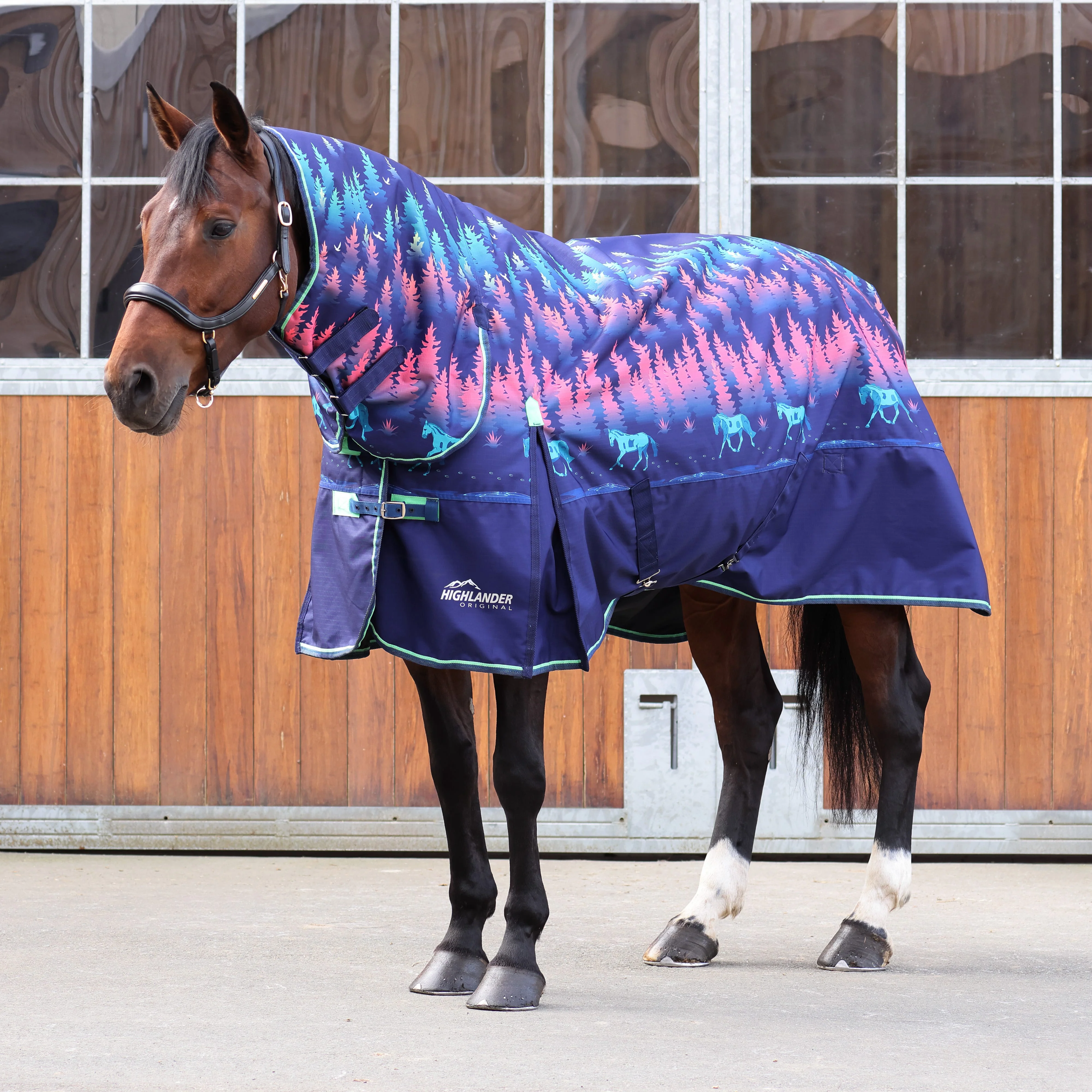 Highlander Original 100 Turnout Combo Rug - Image 7