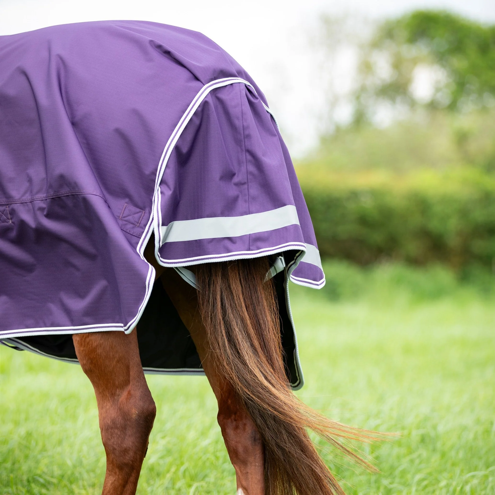 Shires Highlander Original 100 Turnout Rug - Image 6