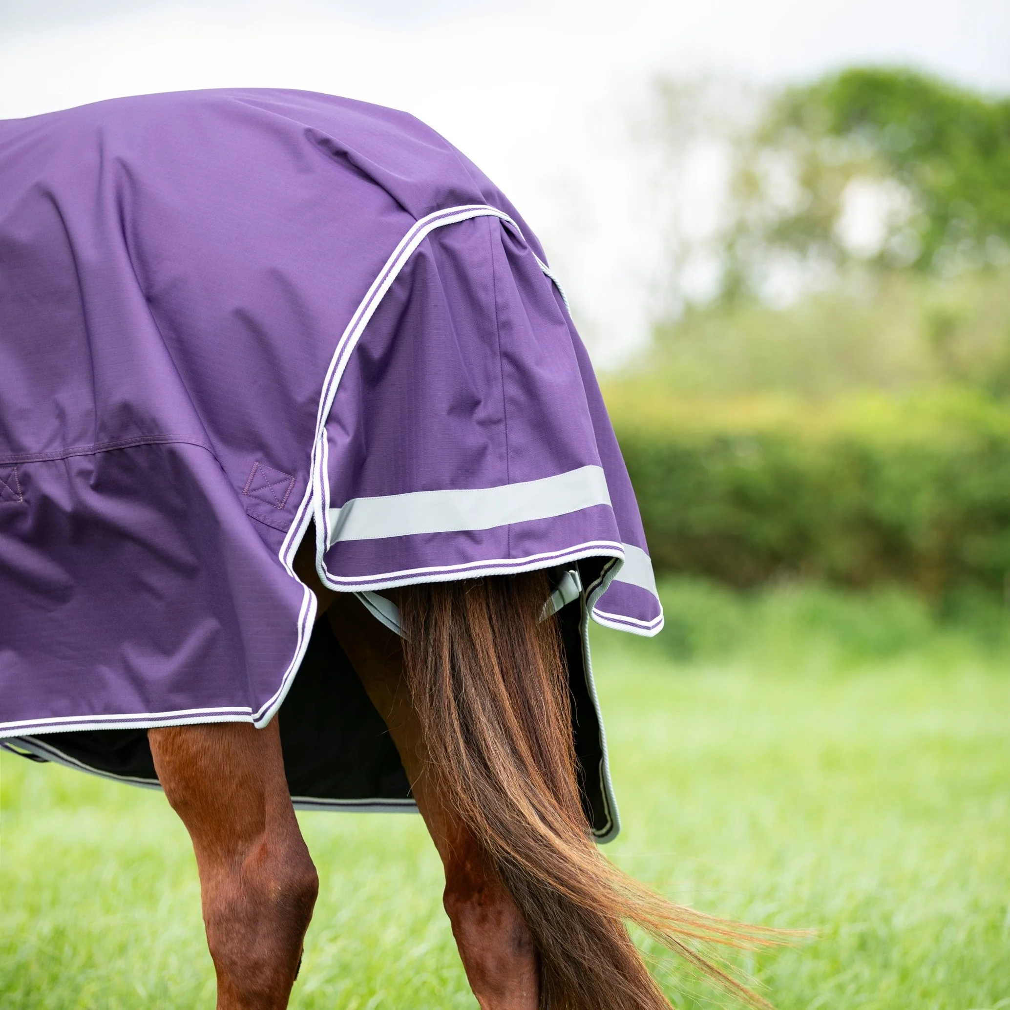Shires Highlander Original 100 Turnout Rug & Neck Set - Image 4