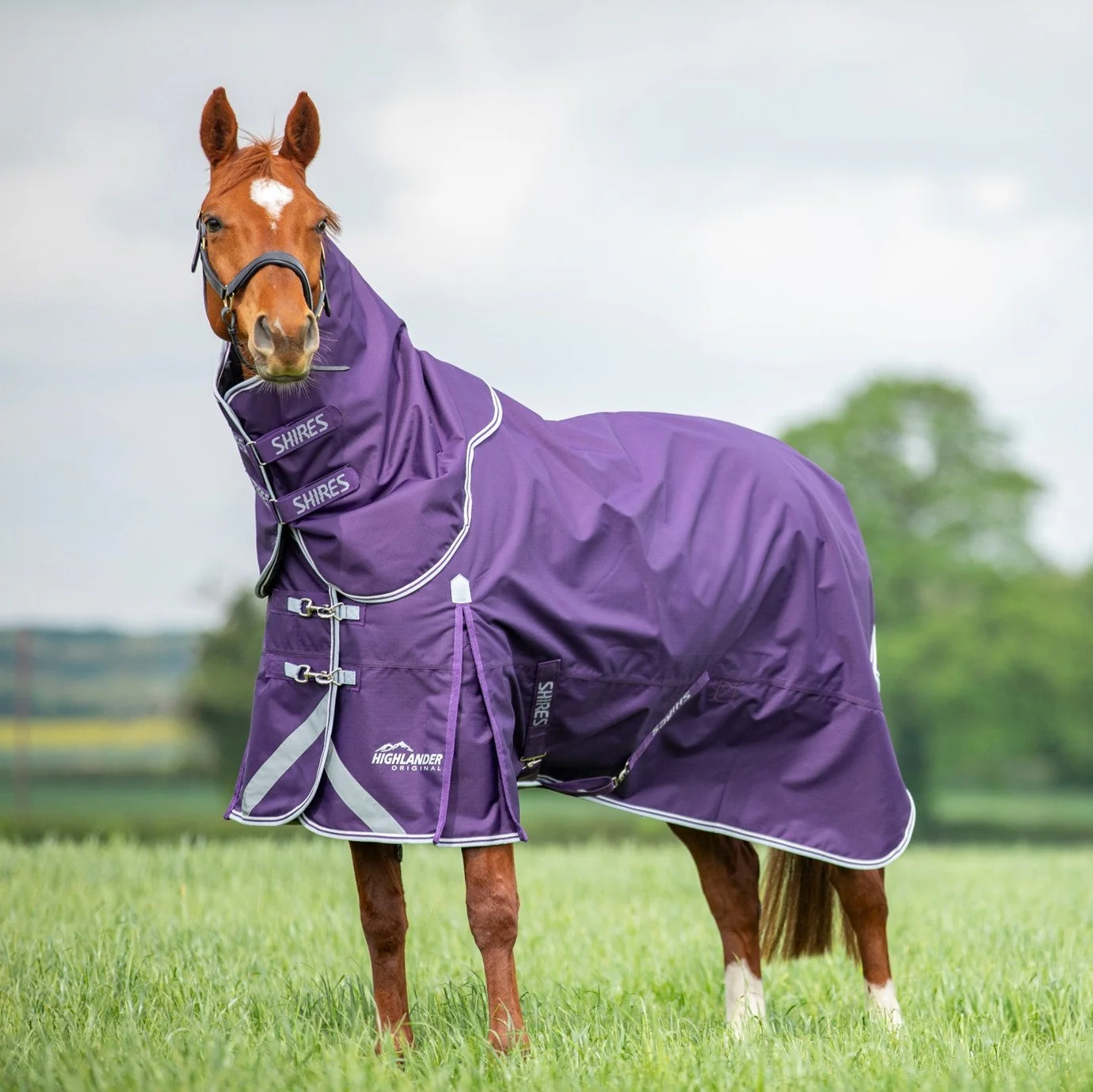 Shires Highlander Original 100 Turnout Rug & Neck Set - Image 5