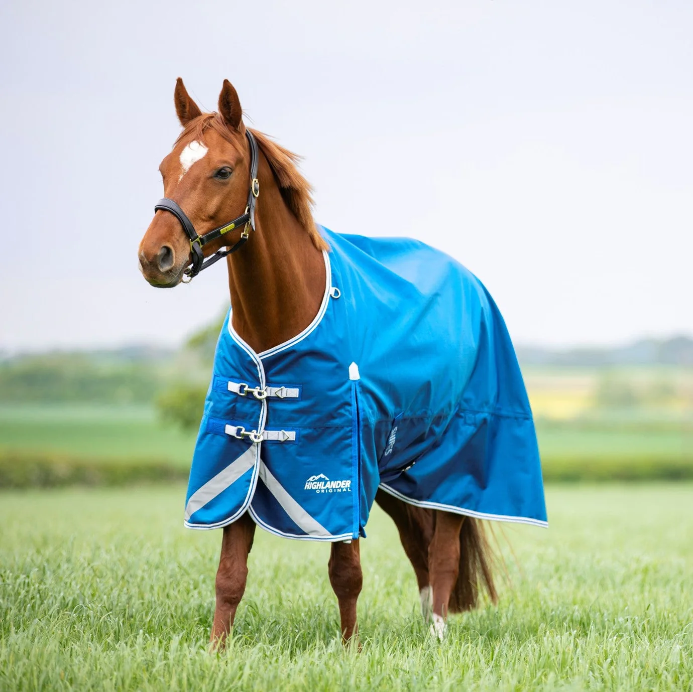 Shires Highlander Original 200 Turnout Rug - Image 7