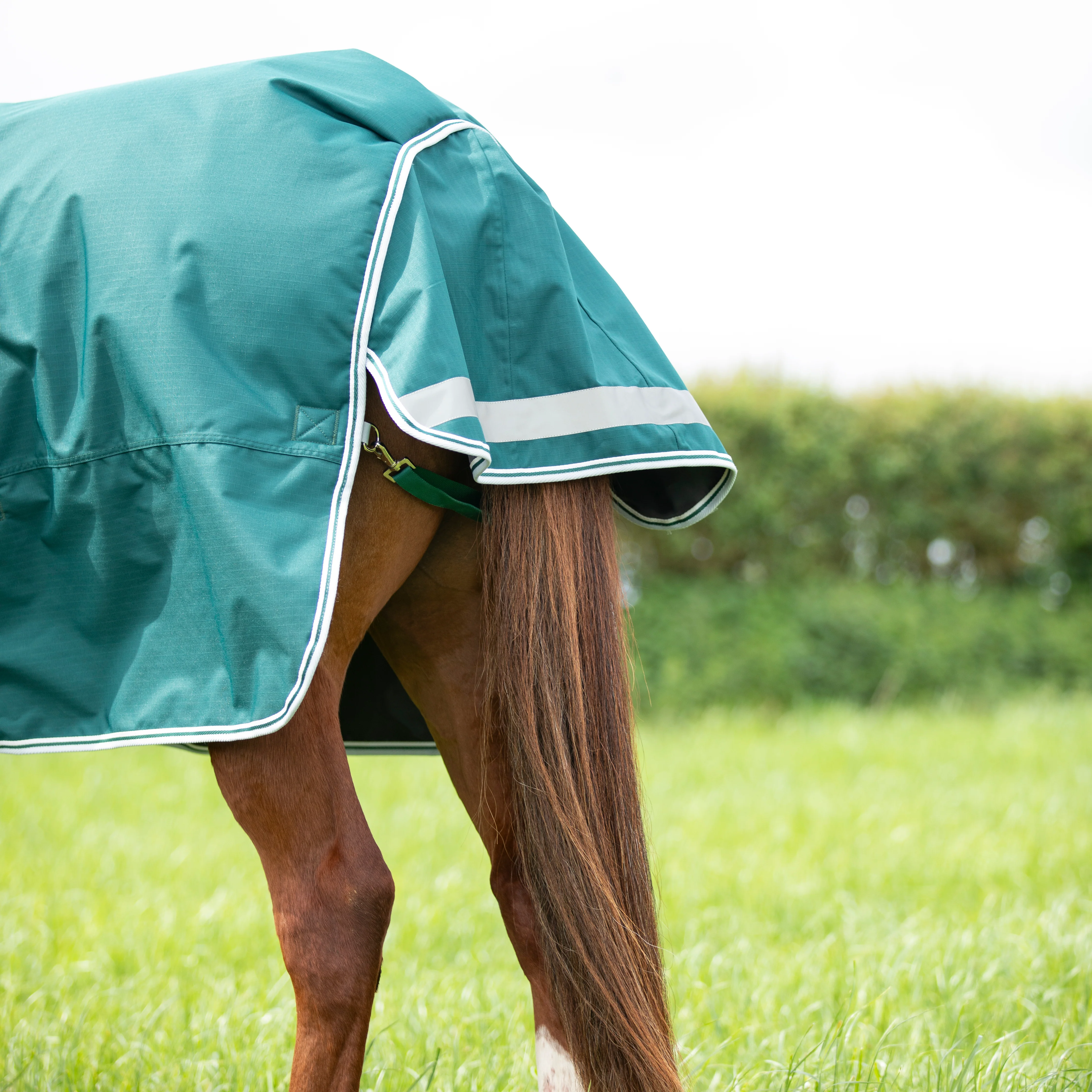 Highlander Original 300 Turnout Combo Rug - Image 6
