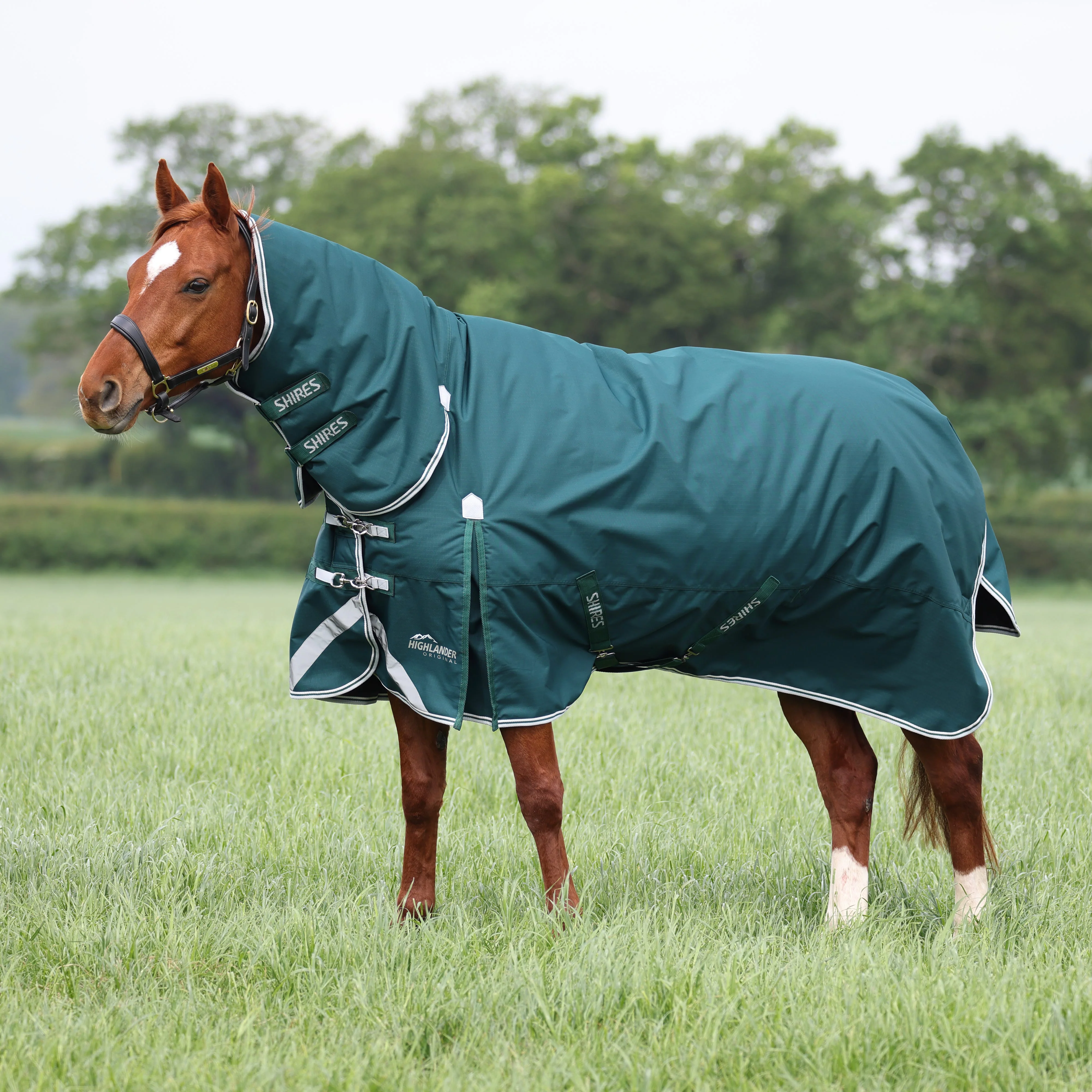 Highlander Original 300 Turnout Combo Rug - Image 7