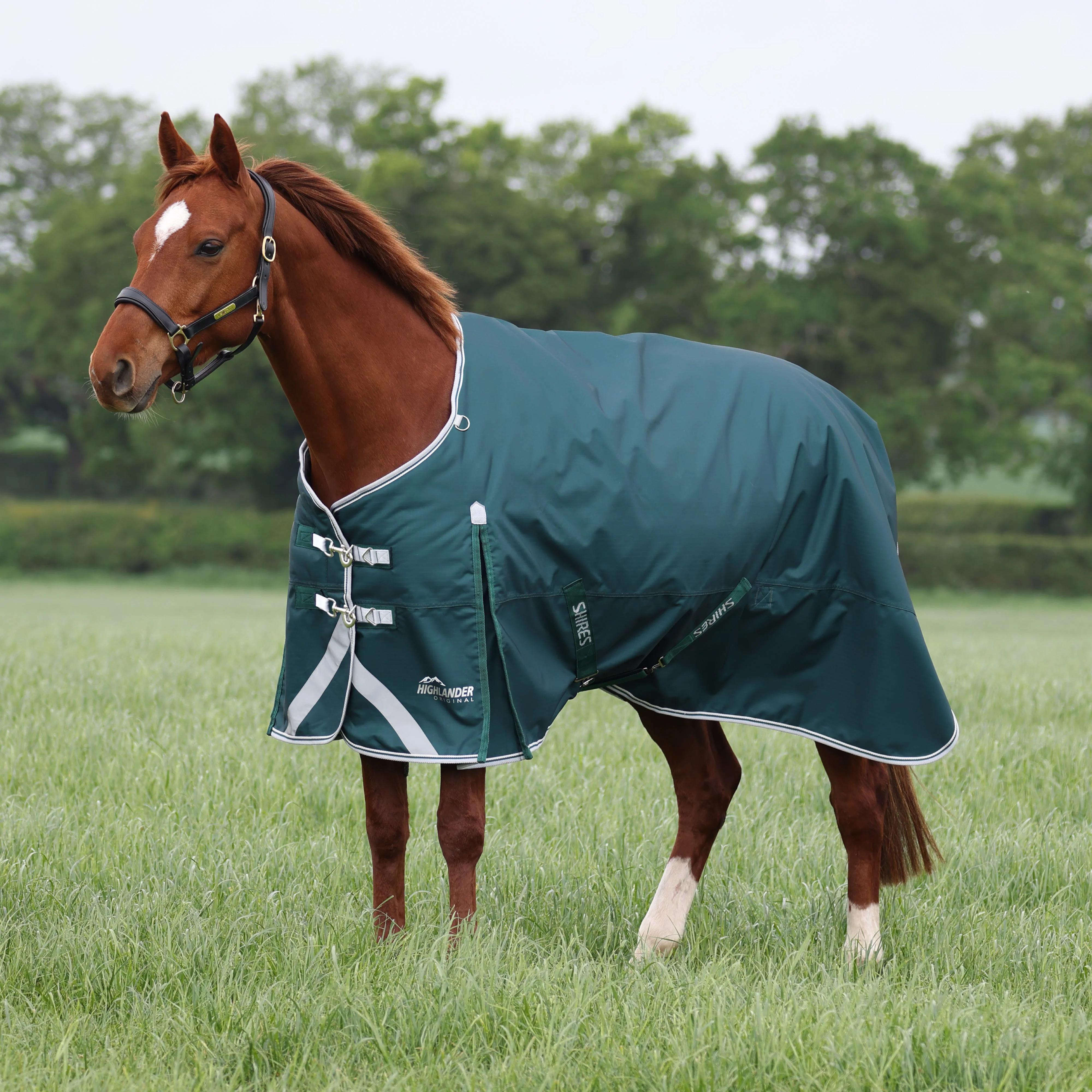 Shires Highlander Original 300 Turnout Rug - Image 4