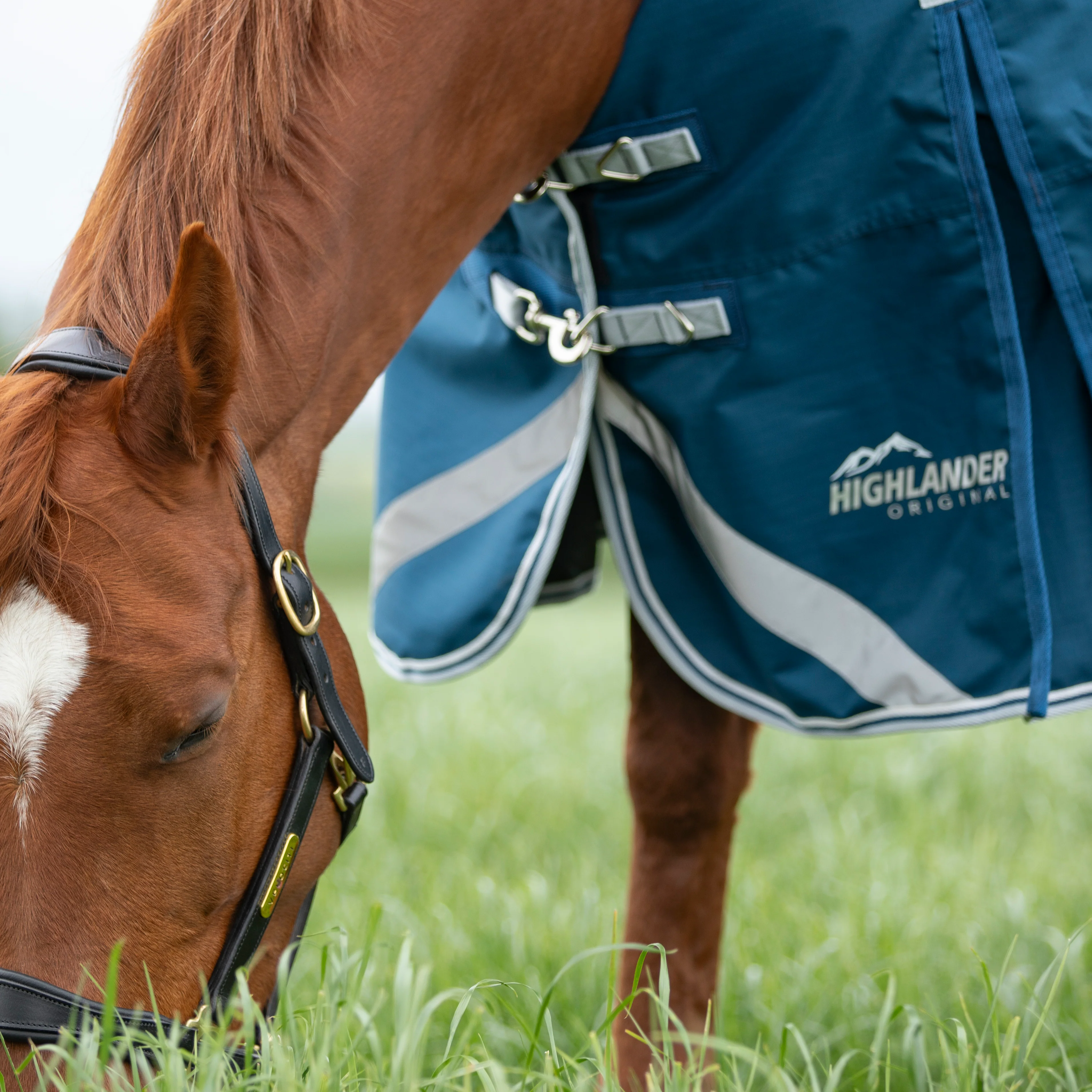 Shires Highlander Original 50 Combo Turnout Rug - Image 5