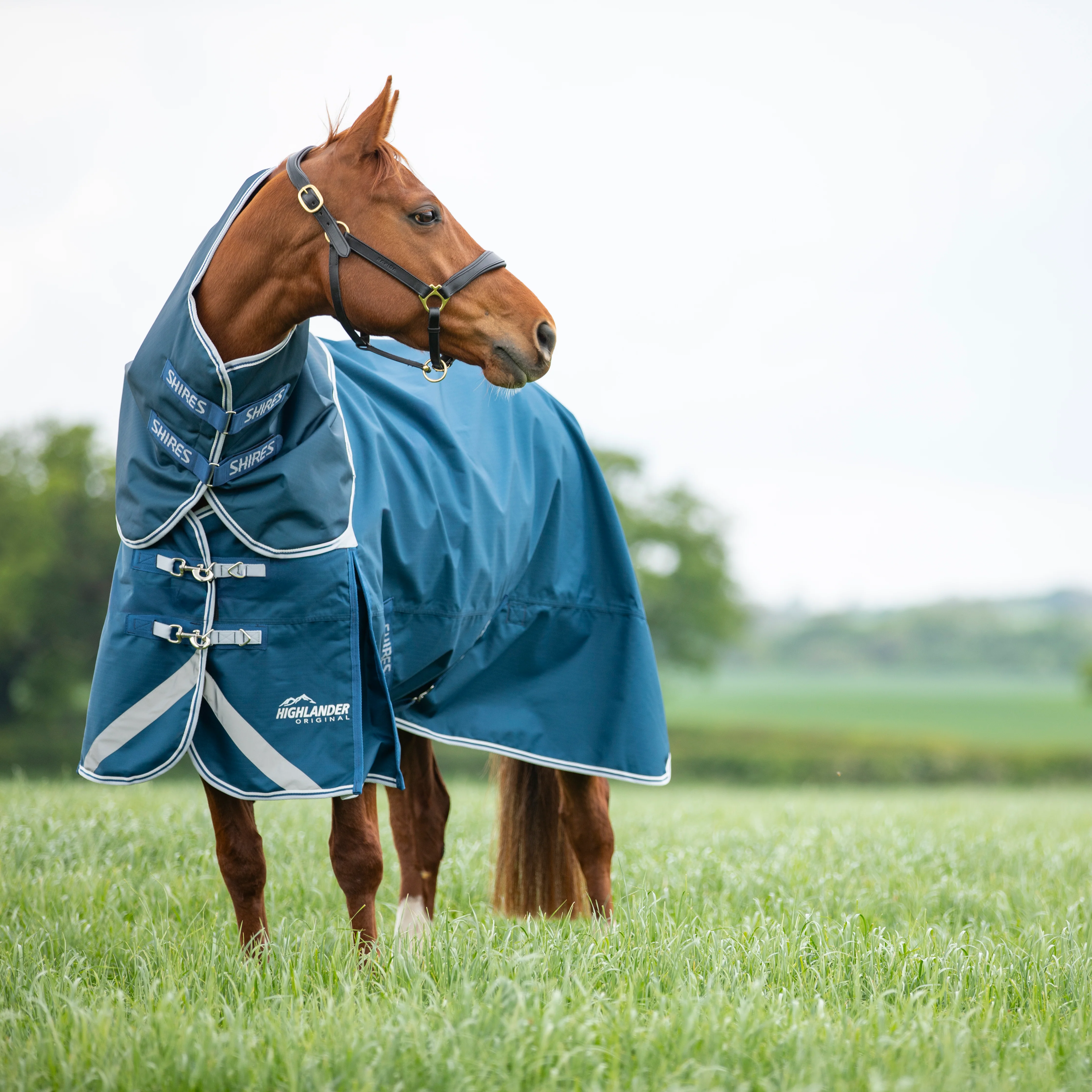 Shires Highlander Original 50 Turnout Rug & Neck Set - Image 2