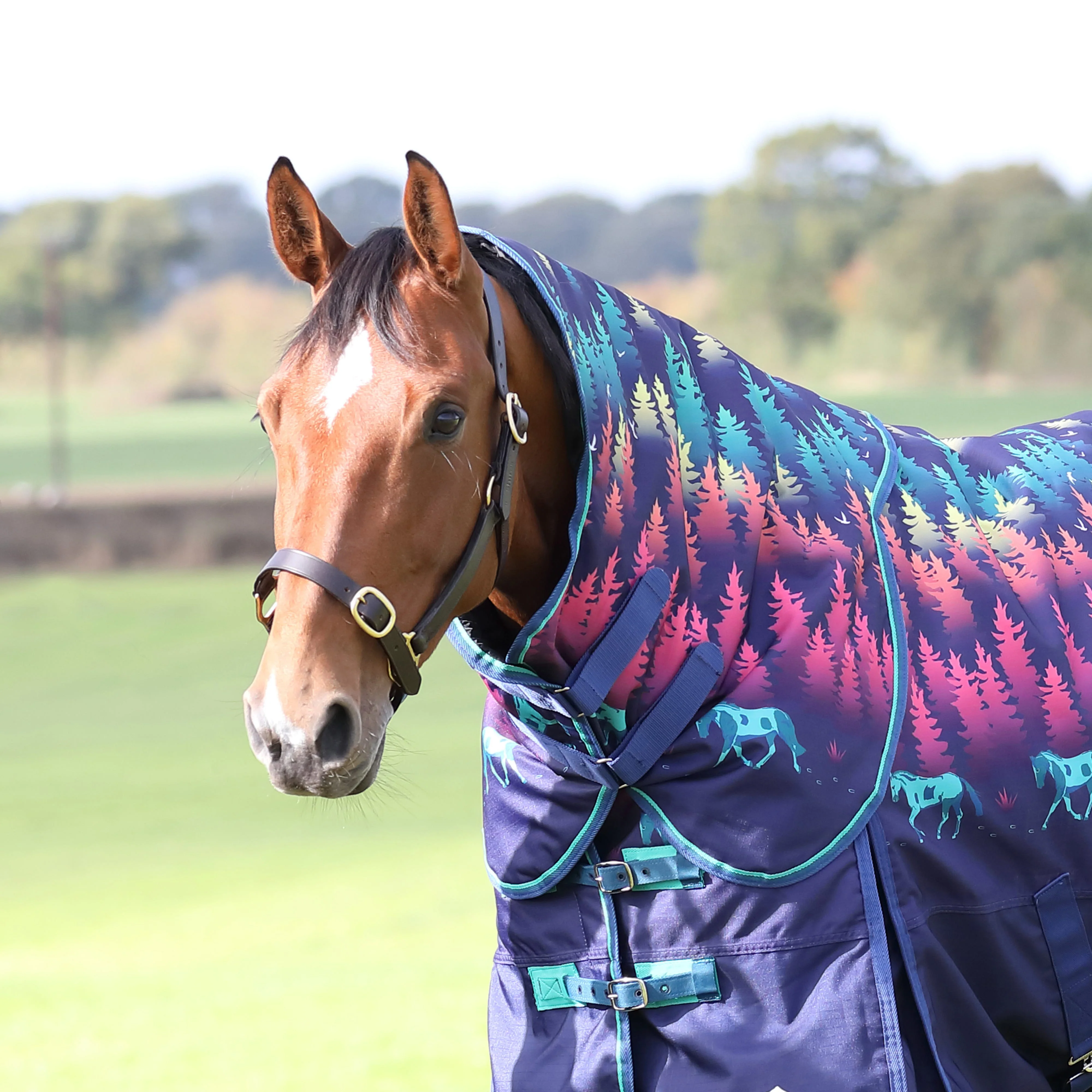 Highlander Original Lite Neck Cover - Image 8