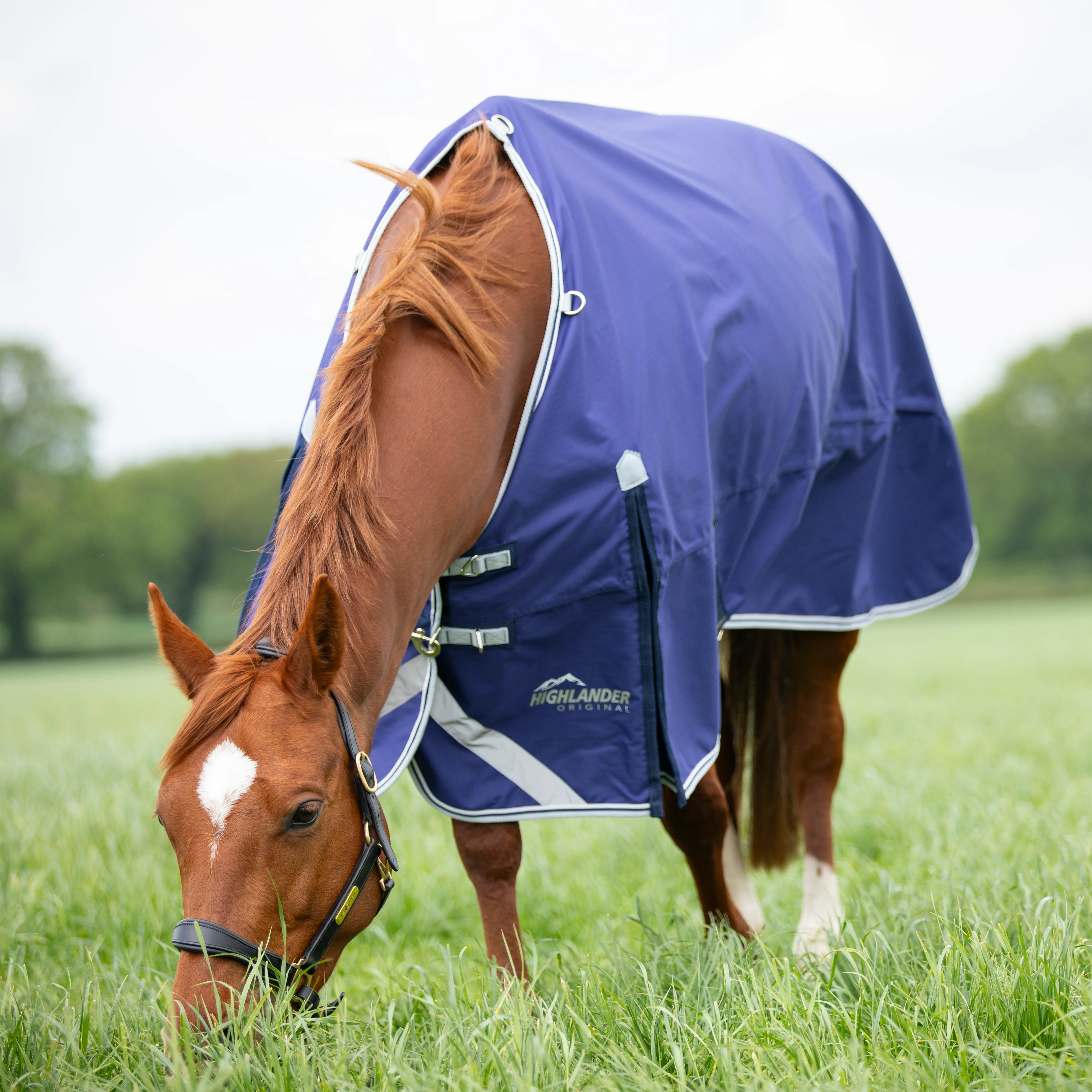 Shires Highlander Original Lite Turnout Rug - Image 2