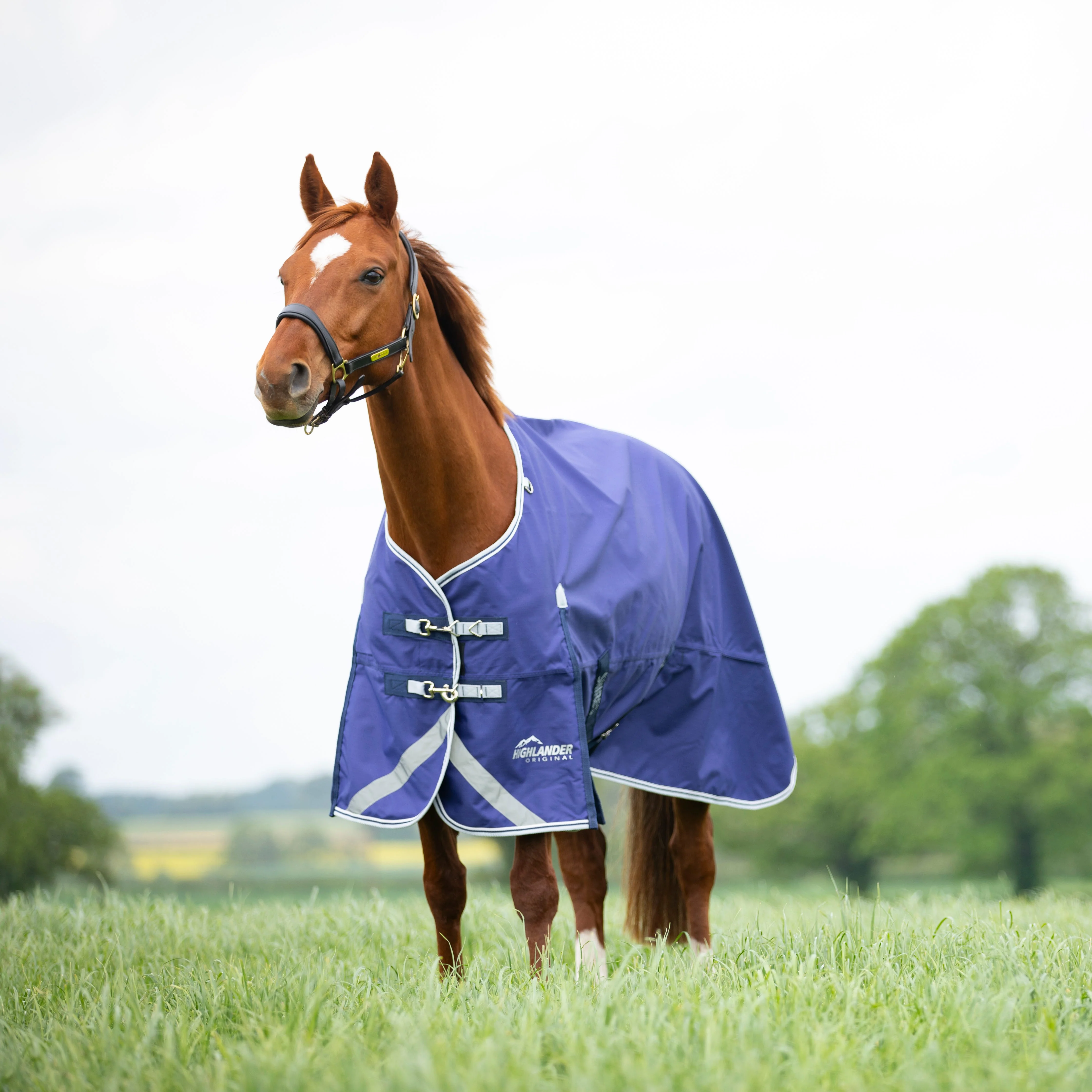 Shires Highlander Original Lite Turnout Rug - Image 5