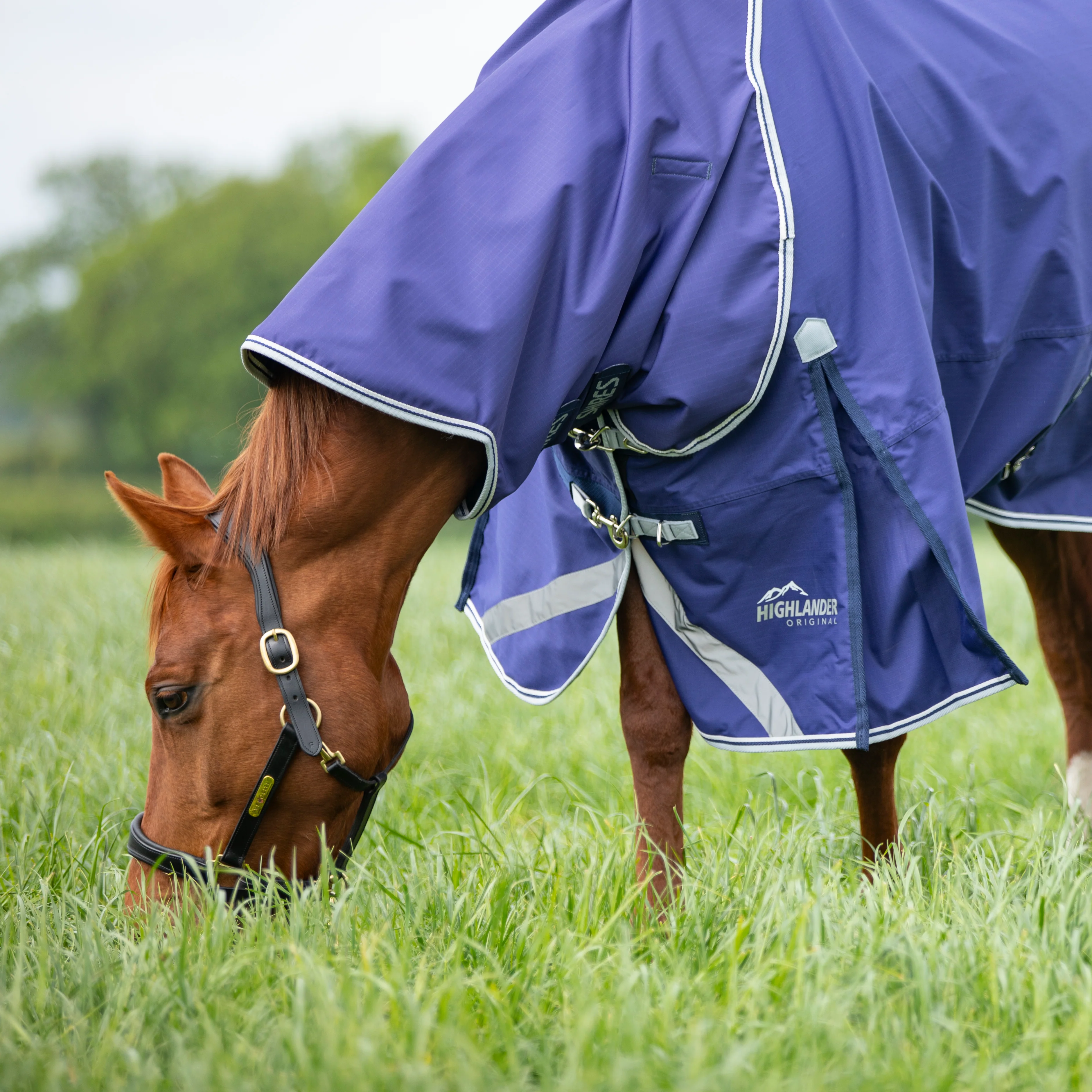Shires Highlander Original Lite Turnout Rug & Neck Set - Image 2
