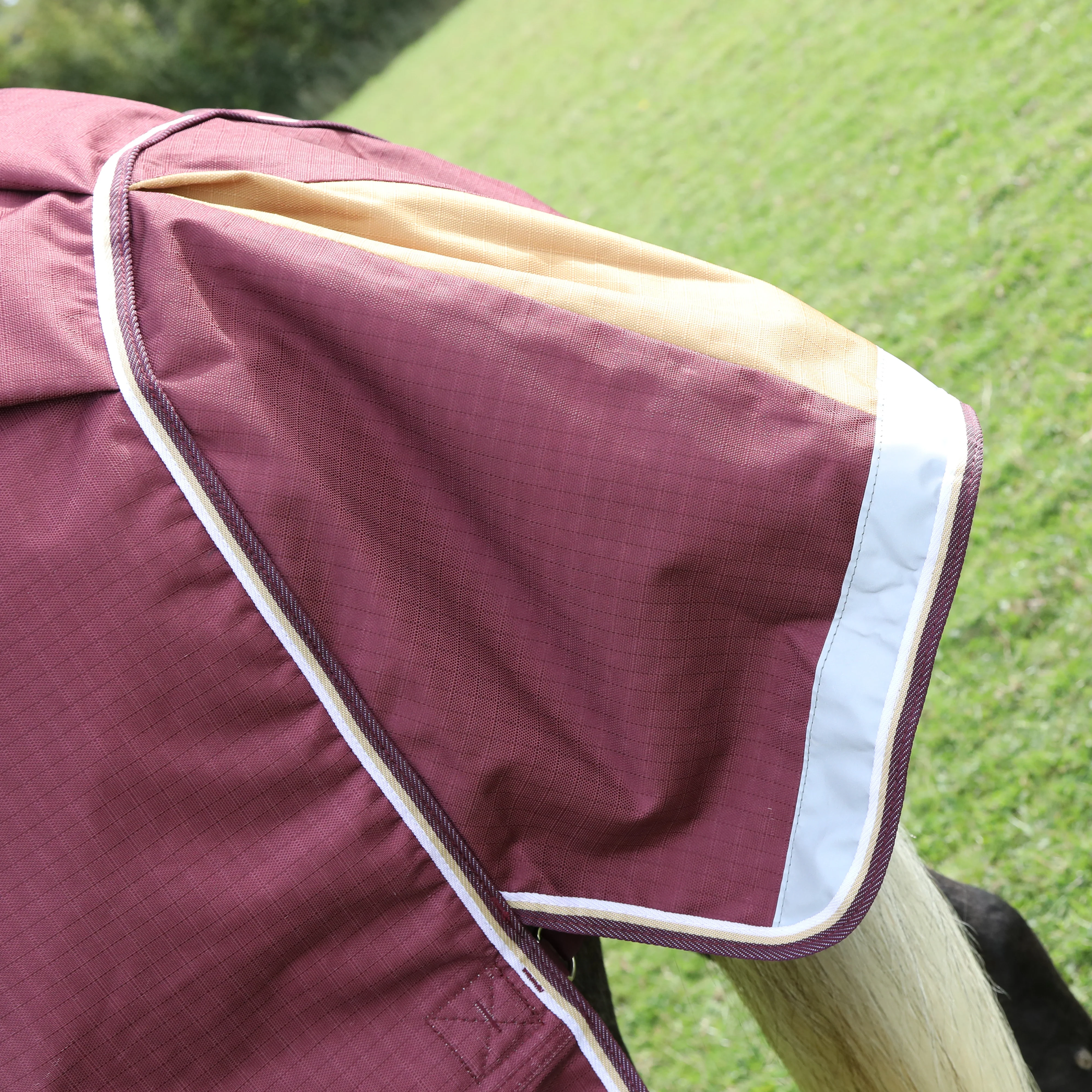Shires Highlander Plus 100 Combo Turnout Rug - Image 5