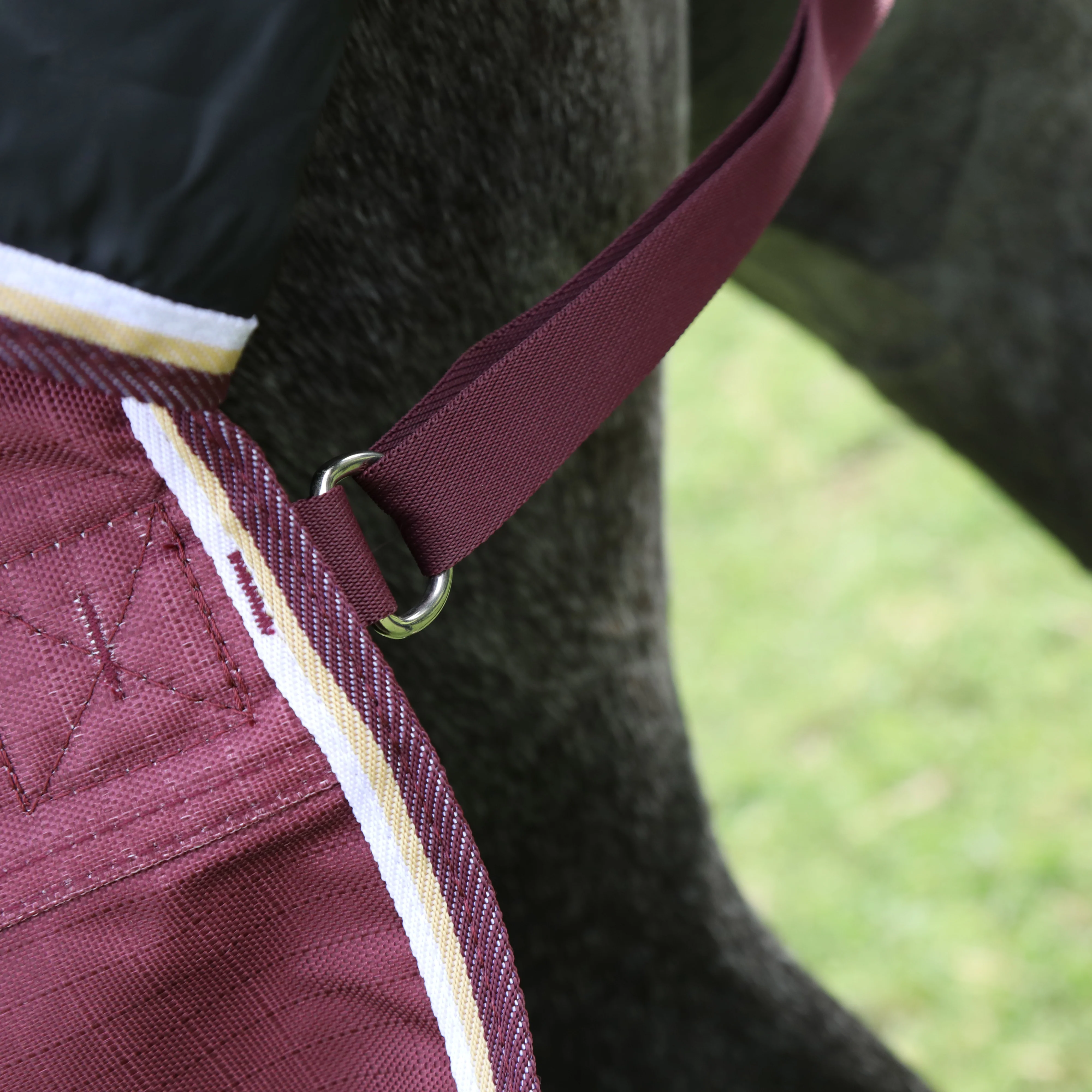 Shires Highlander Plus 100 Combo Turnout Rug - Image 6