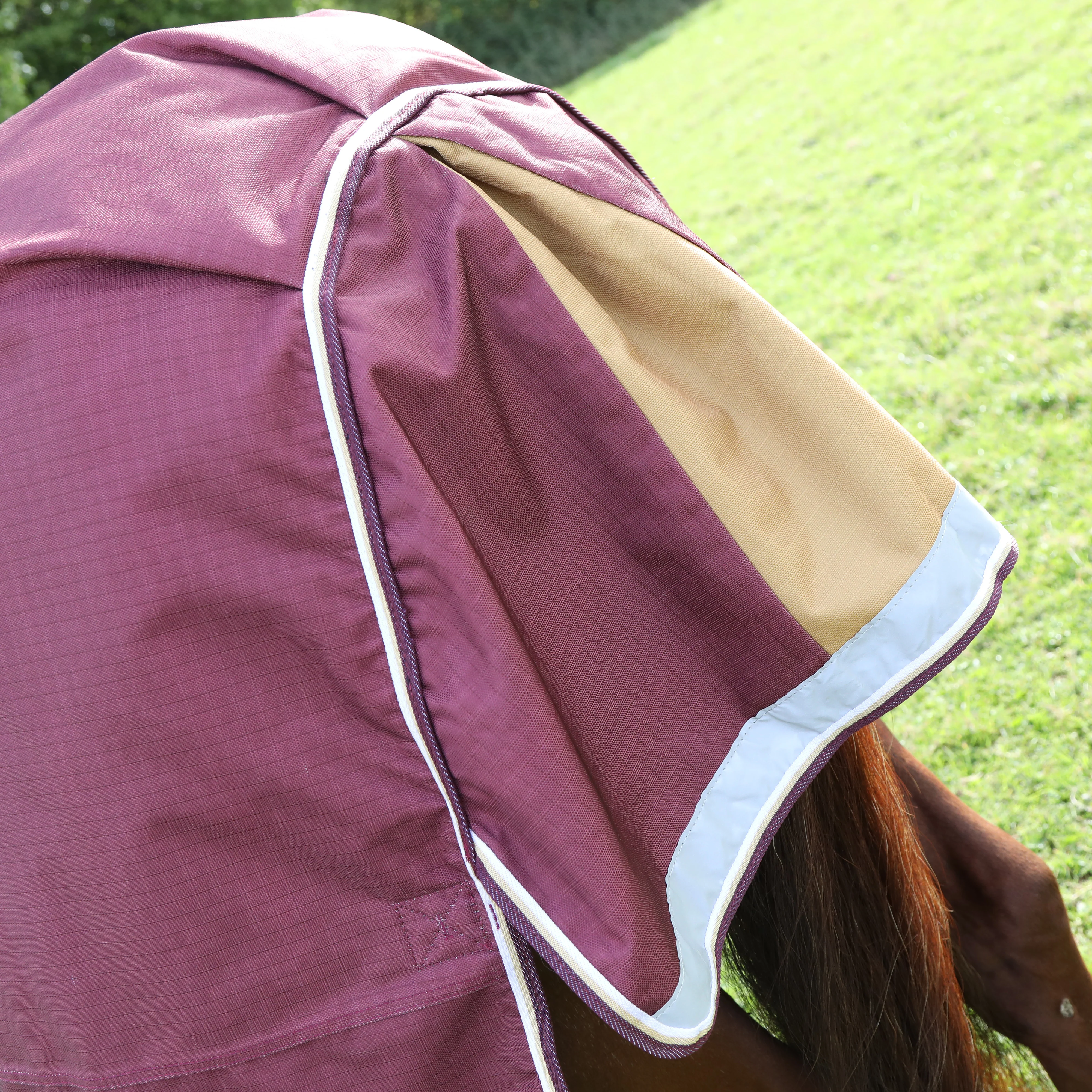 Shires Highlander Plus 100 Turnout Rug - Image 4