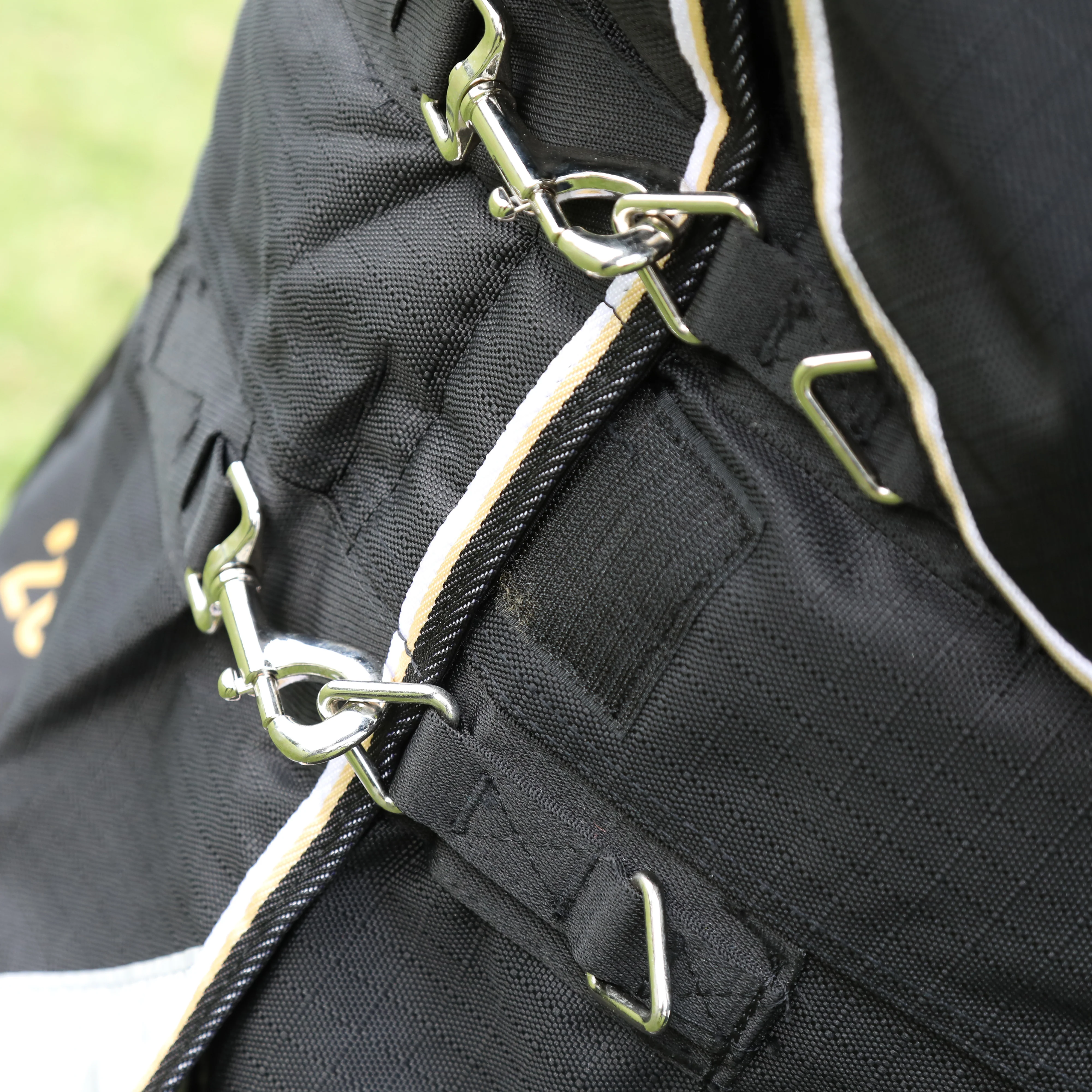Shires Highlander Plus 200 Turnout Rug - Image 3
