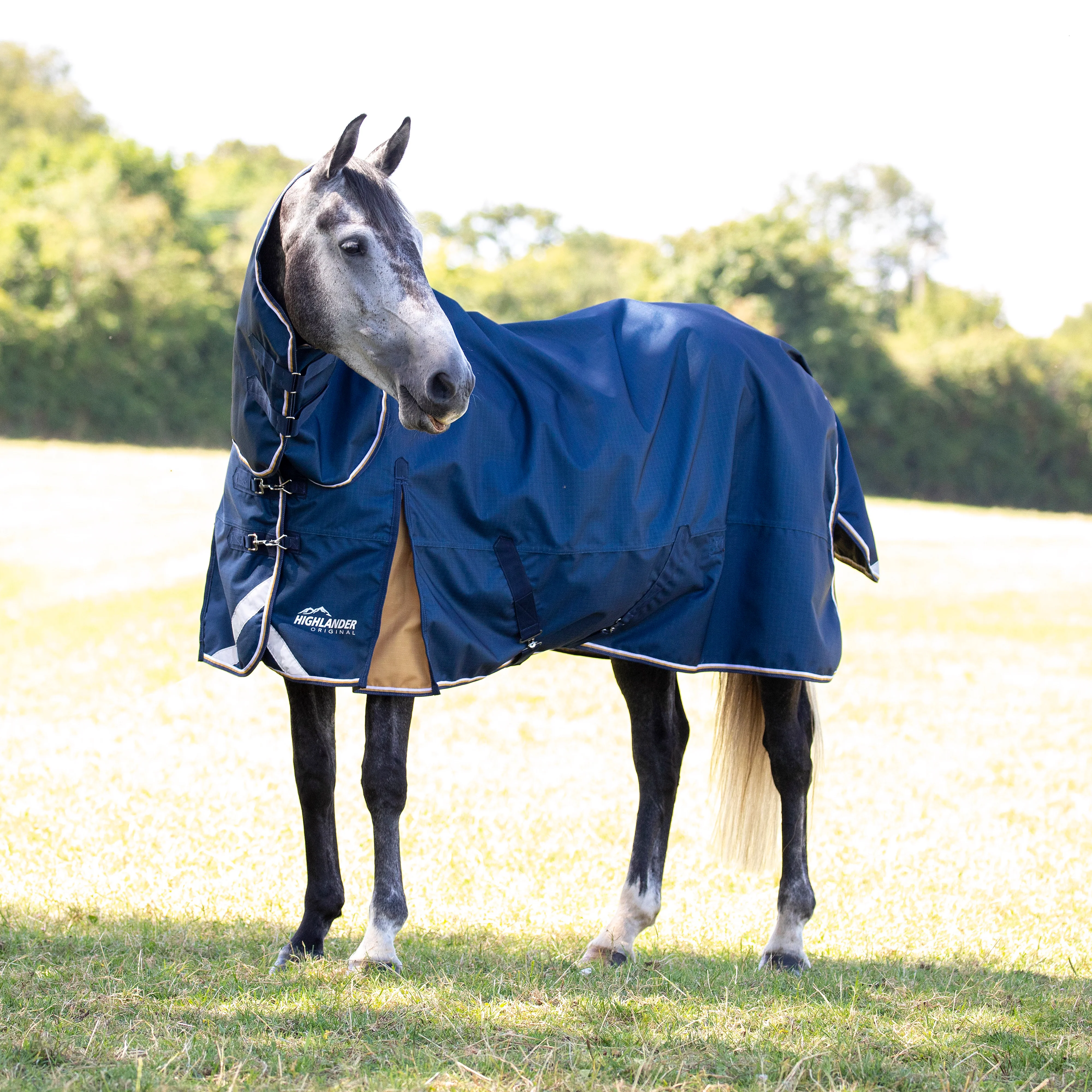 Shires Highlander Plus Lite Combo Turnout Rug