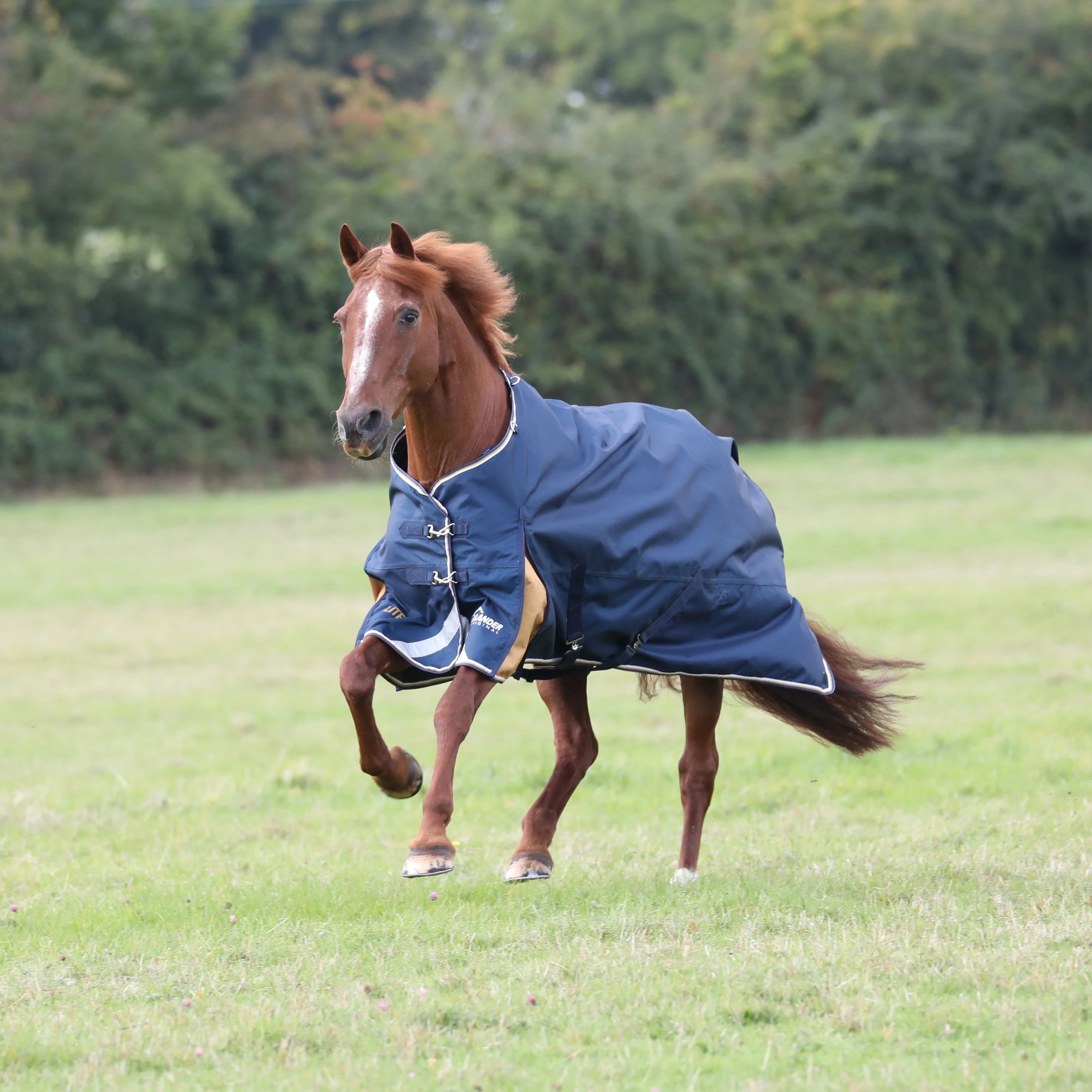 Shires Highlander Plus Lite Turnout Rug - Image 2