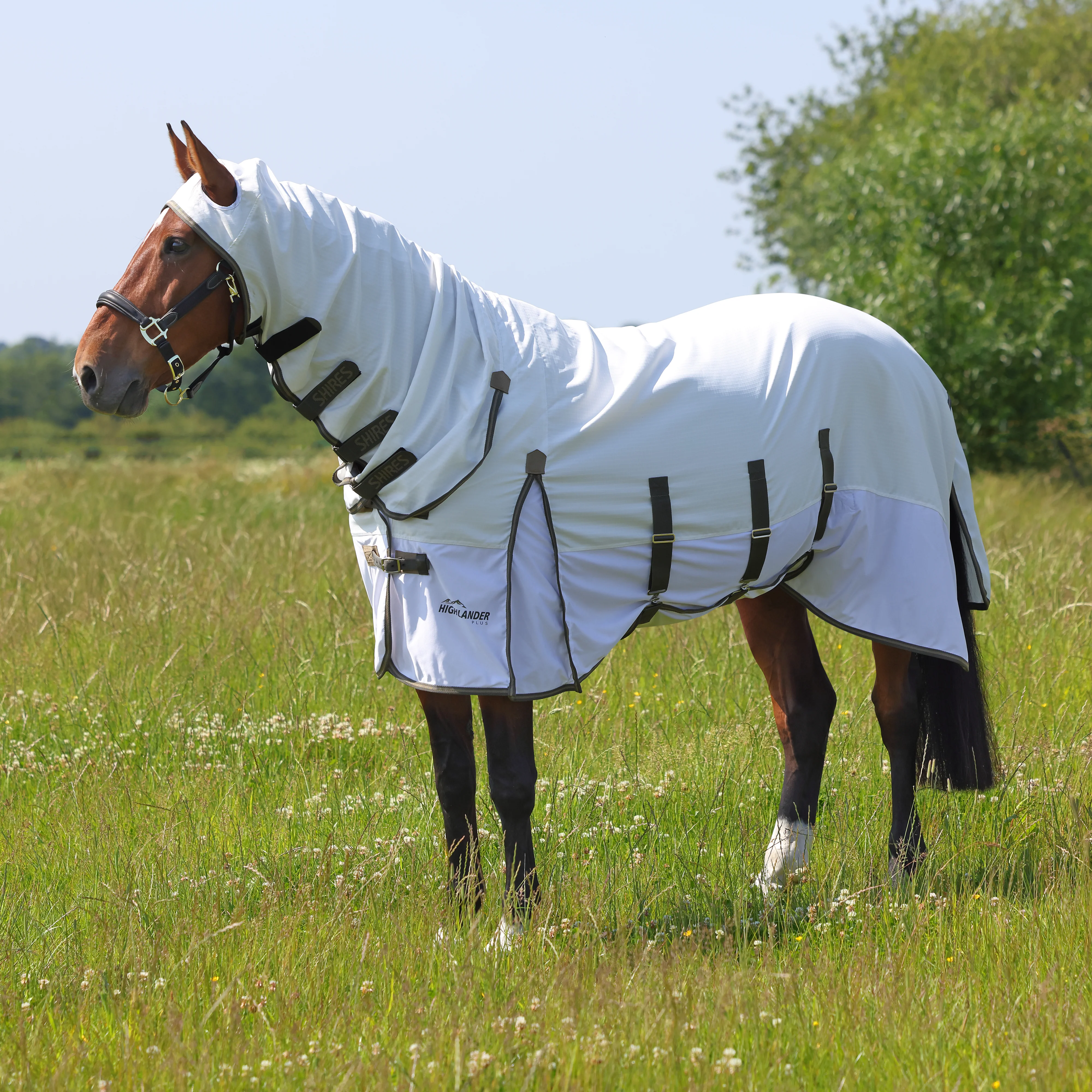 Shires Highlander Plus Sun Shade Fly Combo Rug